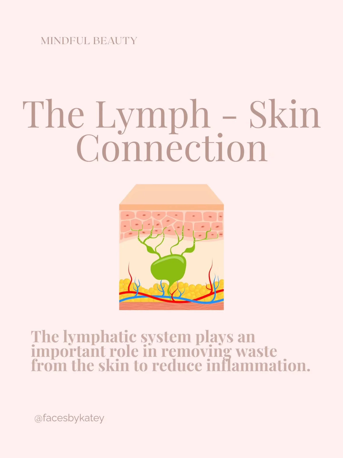 The lymphatic system plays an important role in removing waste from the skin to reduce inflammation.

Manual lymph drainage (MLD) and other lymphatic supportive massage techniques stimulate the lymphatic system to help clear out inflammatory mediator