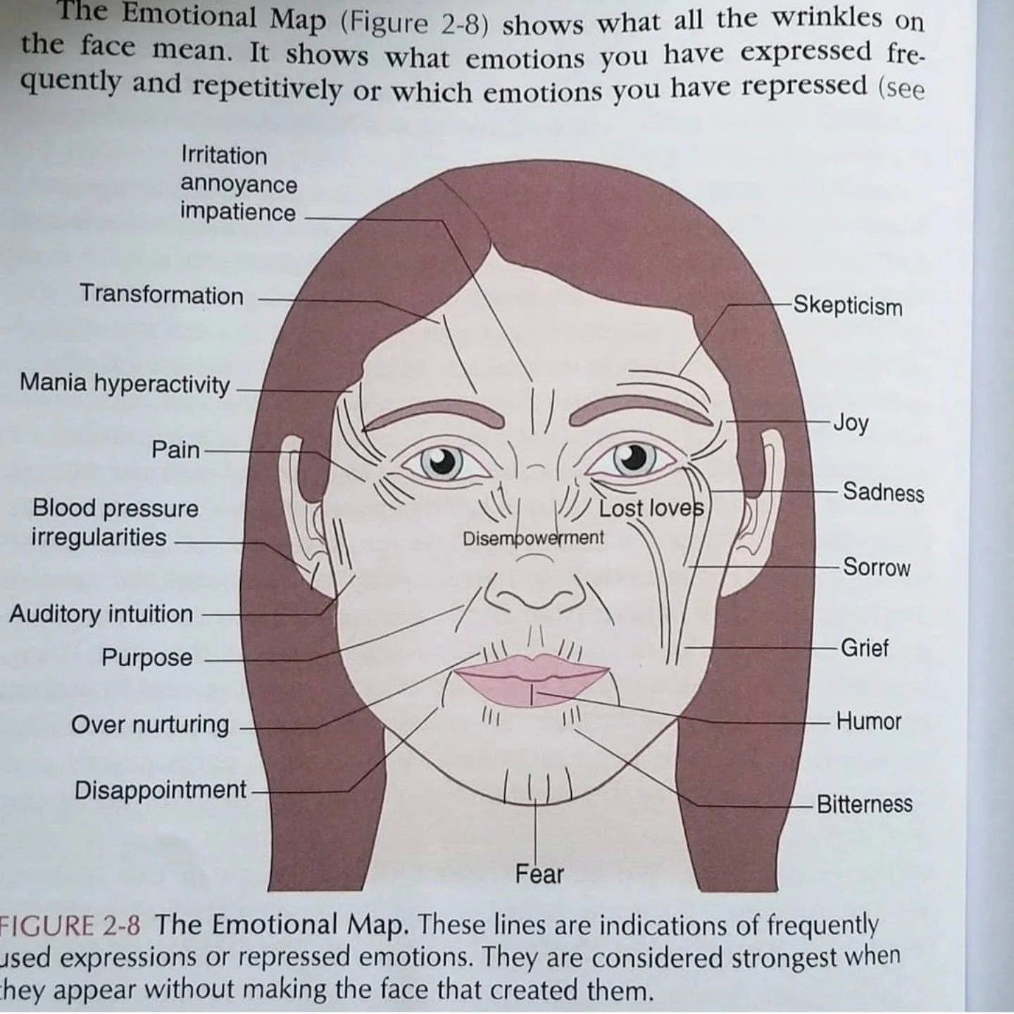 There is so much memory held in the face.

Our expressions, our stress, our emotions&hellip; over time they imprint into the muscles and tissues. You can often see it &mdash; tension around the jaw, the brow holding worry, eyes holding grief, the che