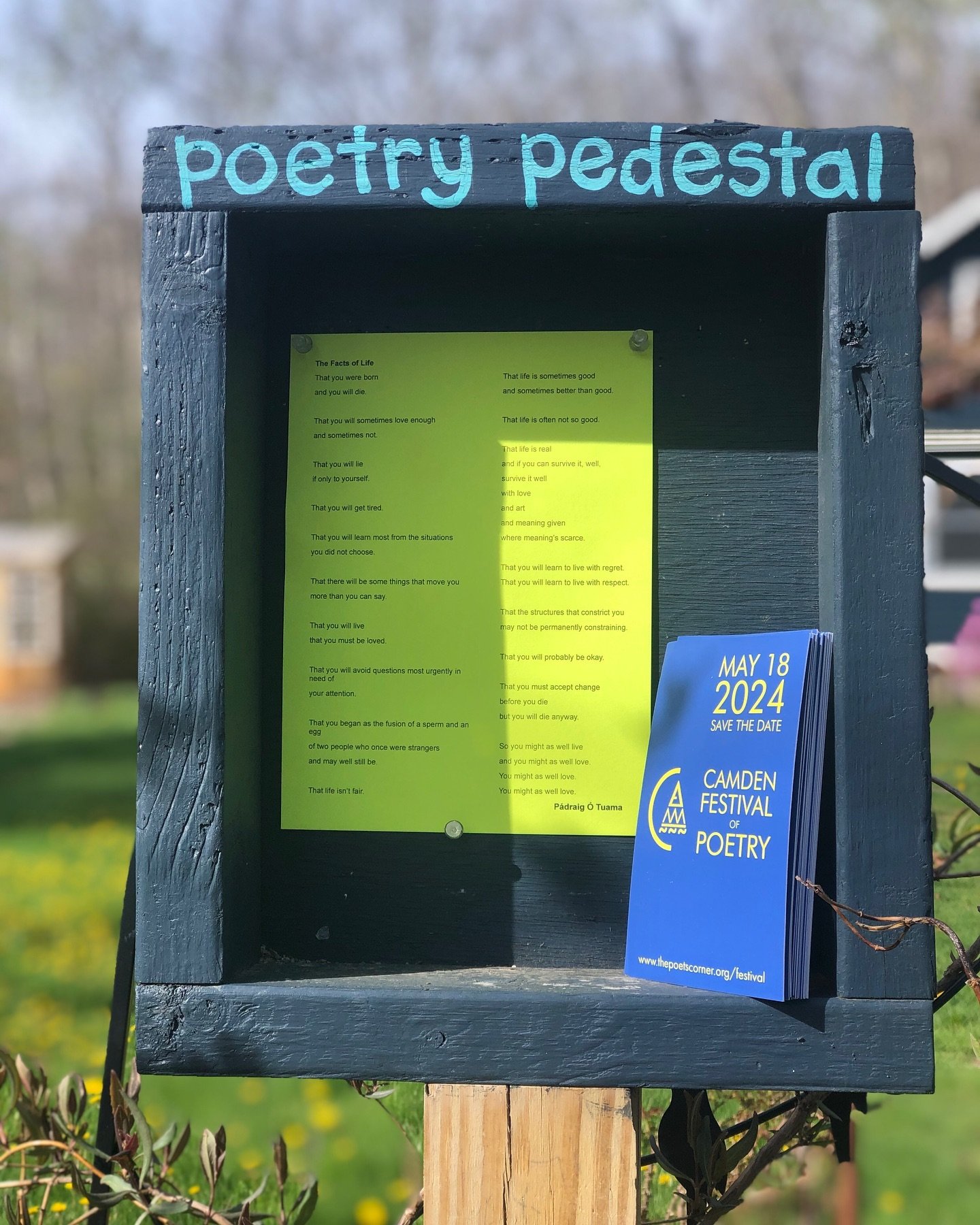 @padraigotuama on our Poetry Pedestal AND in Camden next weekend at the @camdenfestivalofpoetry ☀️ Saturday May 18 at the First Congregational Church in Camden, Maine. 

The Facts of Life by P&aacute;draig &Oacute; Tuama
 
That you were born
and you 