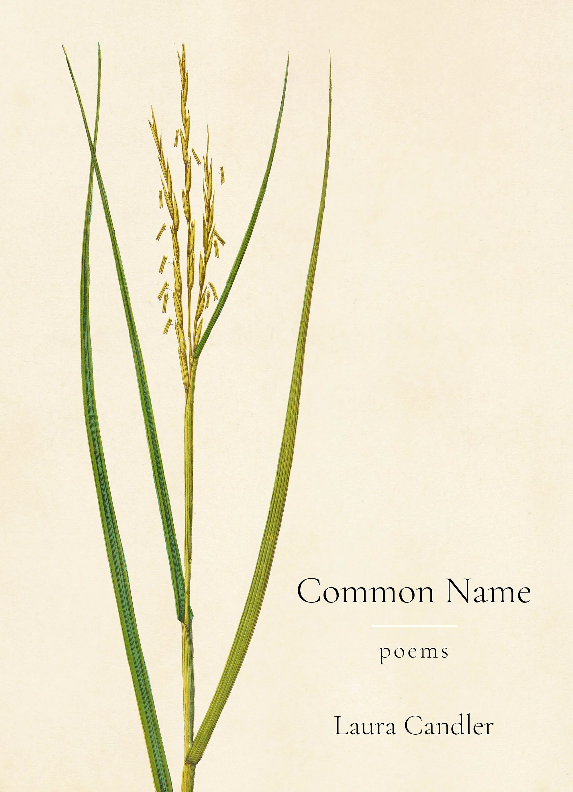 Common Name