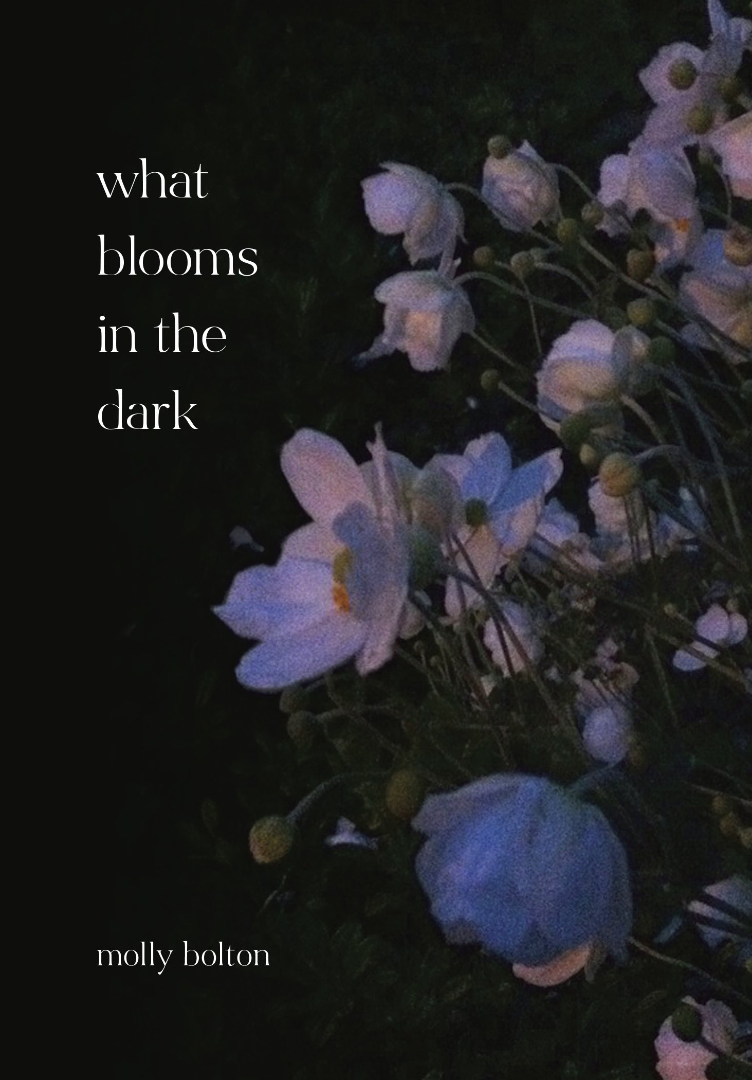 What Blooms in the Dark cover-web.jpg