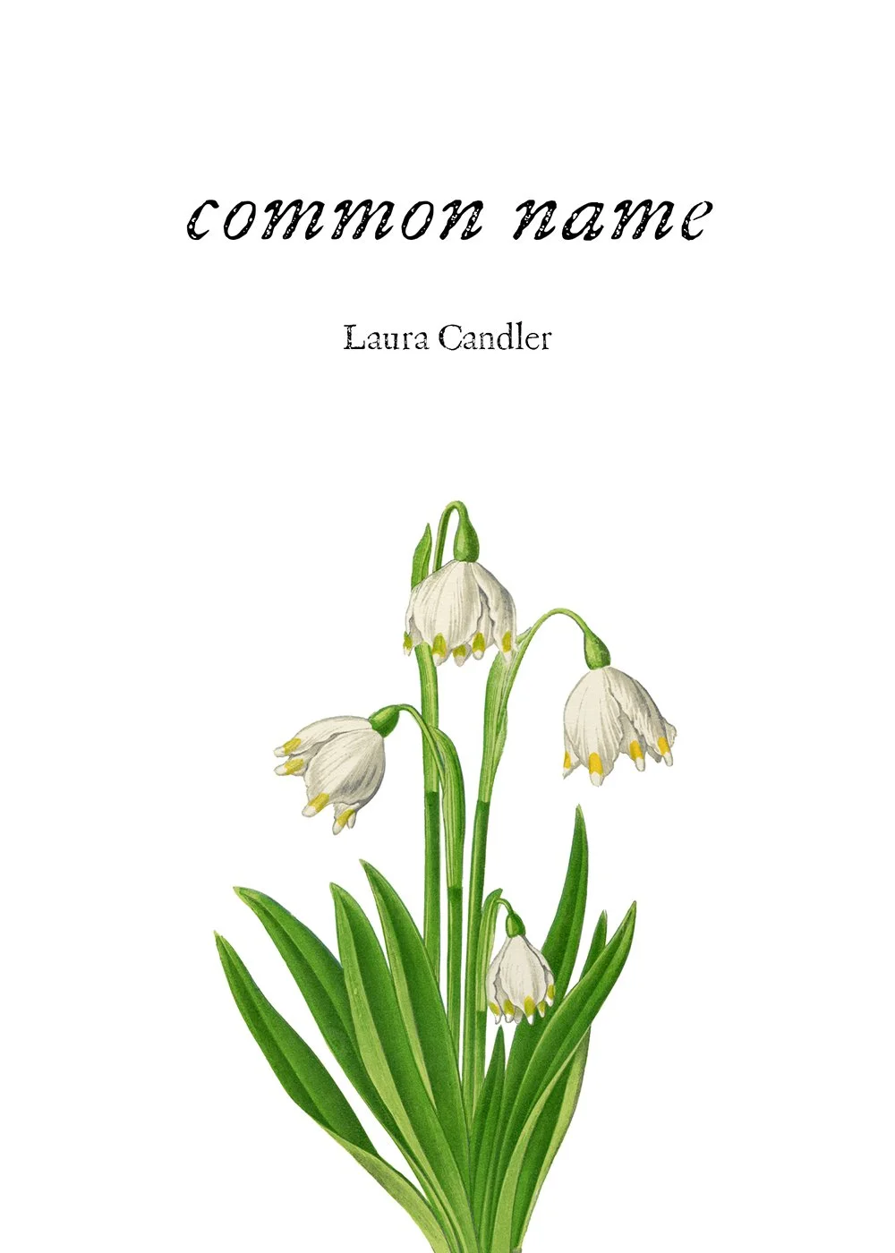 Common Name FC mock up web.jpg