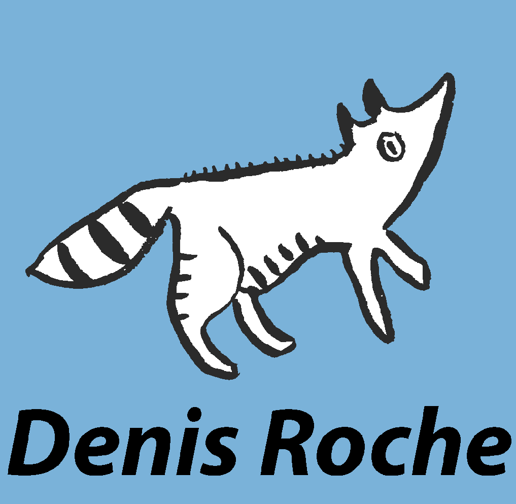 Denis Roche