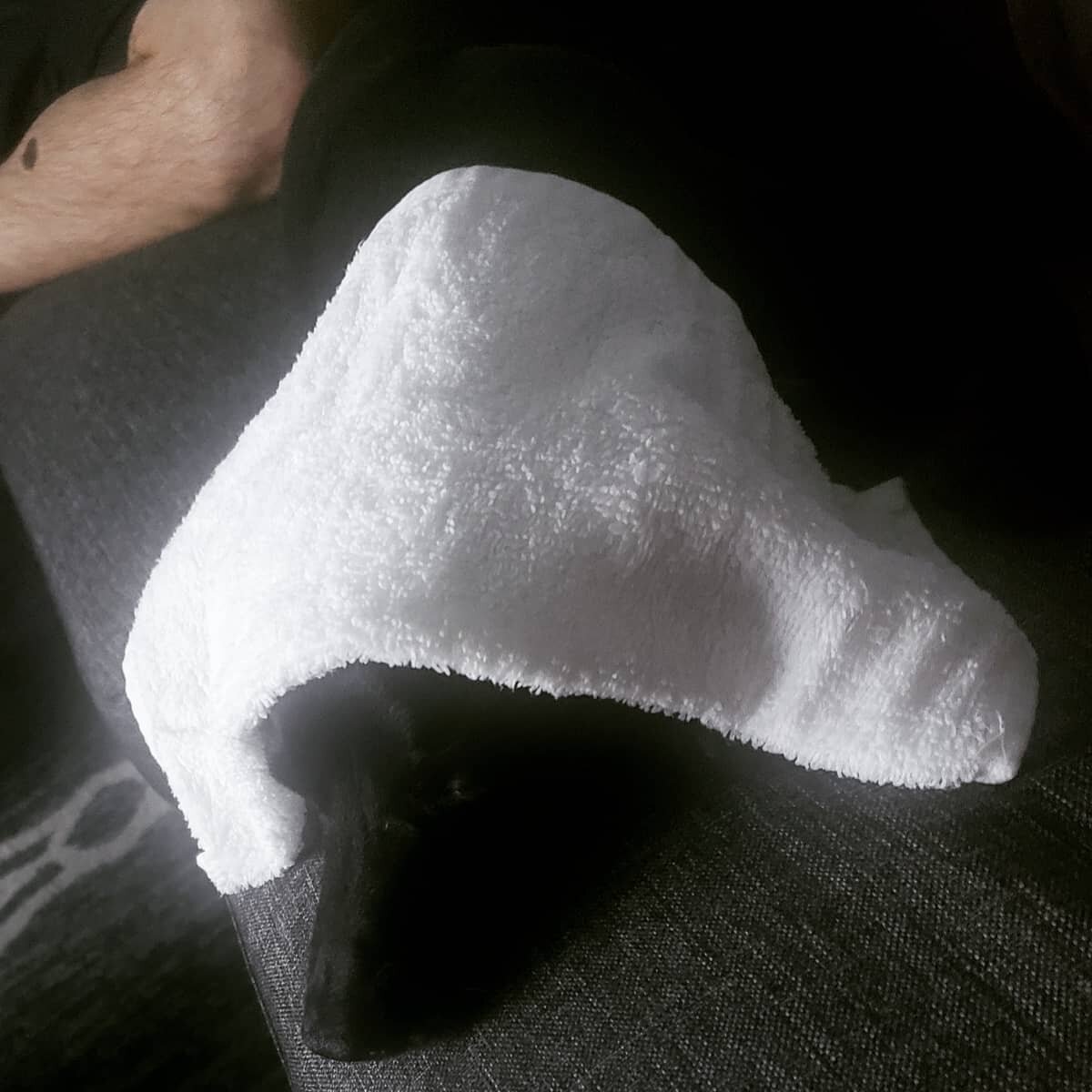 Ponchito was lethargic and not eating. We thought he might have a higher temperature than normal so tried to keep him cool. When I took him to the veterinarian they find a large bleeding mass on his spleen and it appears he needs emergency surgery. W