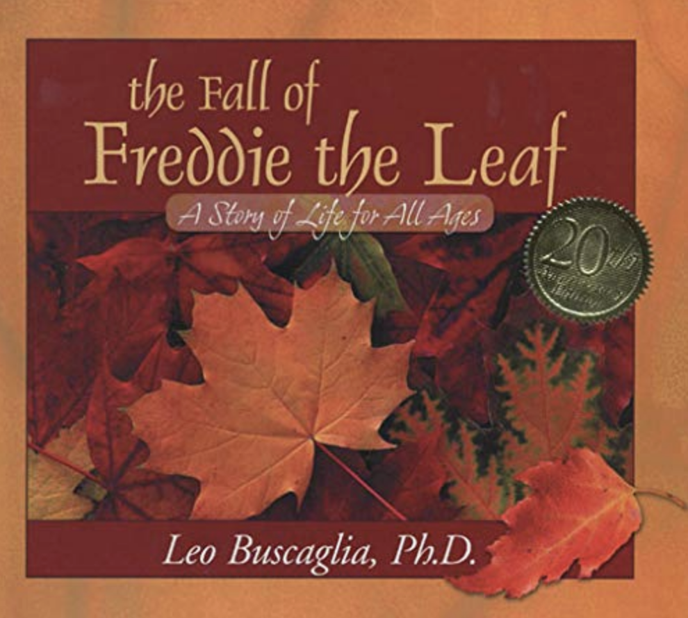the fall of freddie the leaf book cover