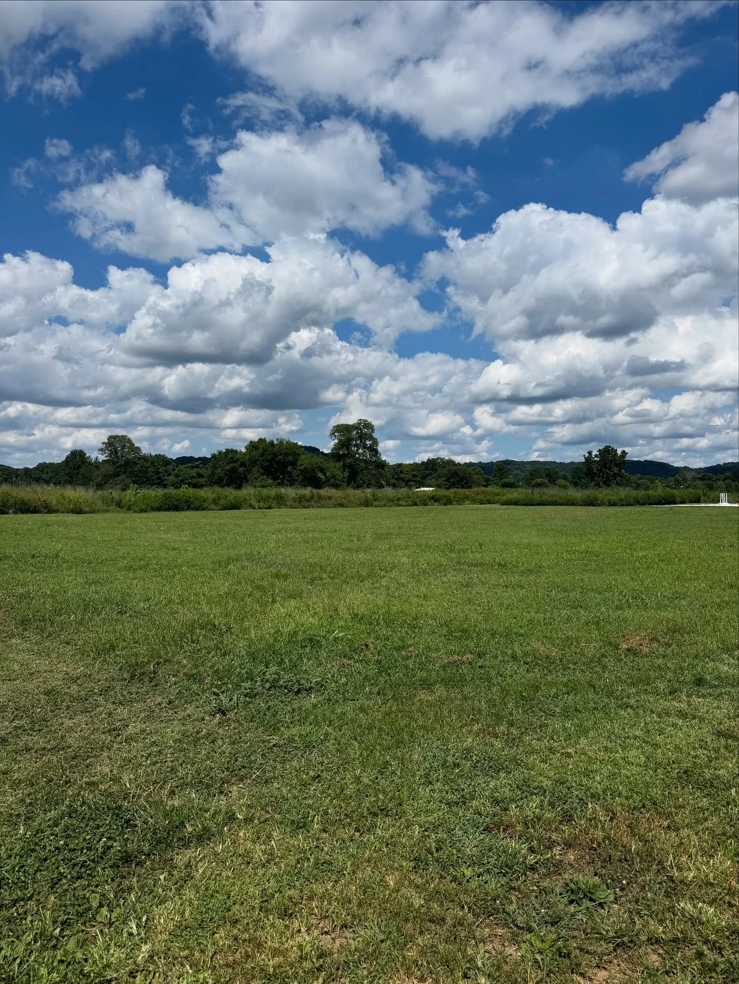 Beautiful day for a site visit as we prepare for the 2025 @harpethriver River Swing featuring @stpaulandthebrokenbones 

#events #livemusic #eventproductions #eventmanagement #tennessee