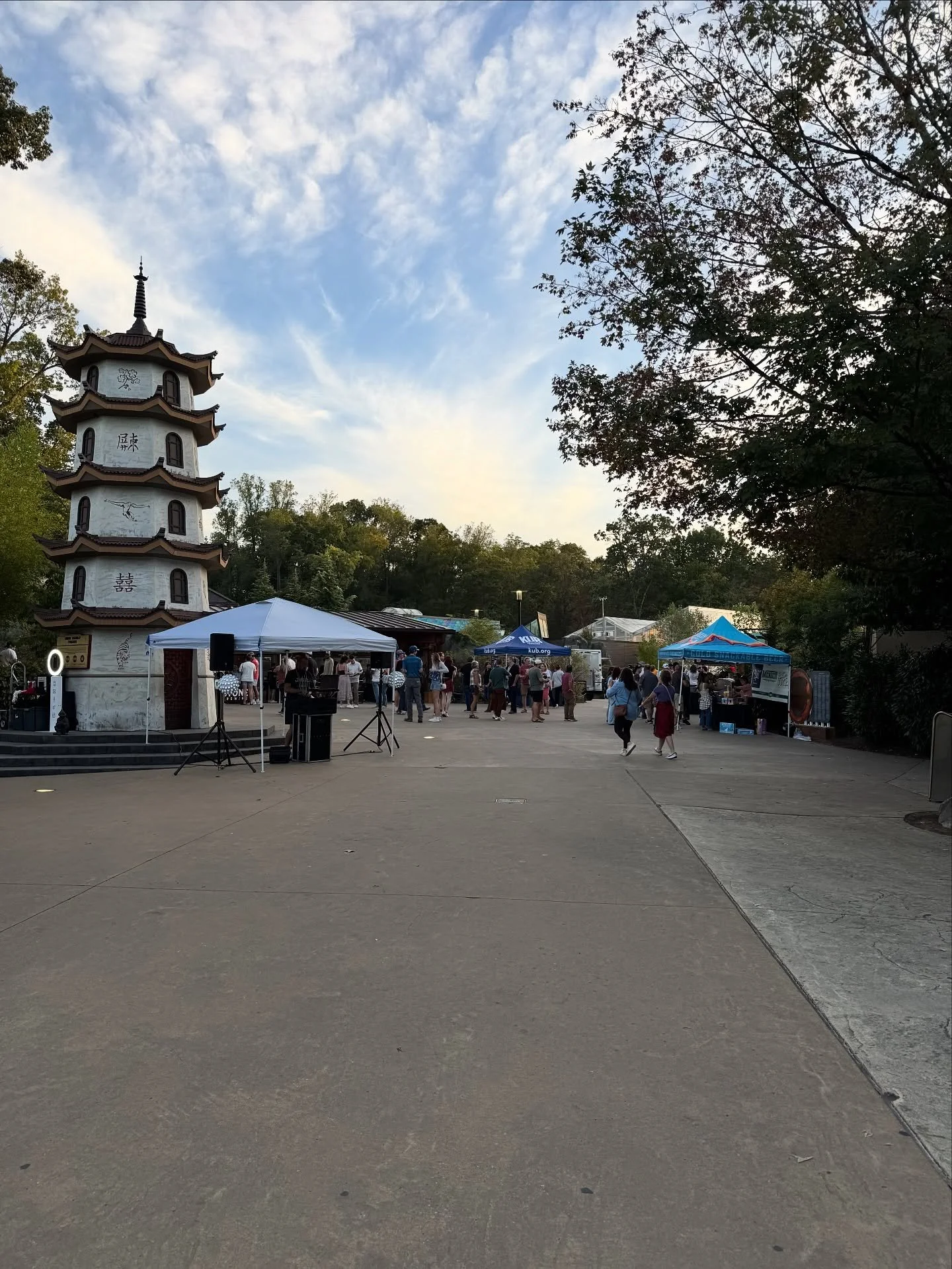 Beautiful night in #Knoxville for Brew at @zooknoxville and we are sold out! Cheers 

#beer #craftbeer #drinkcraftbeer #tennessee #rhizomeproductions