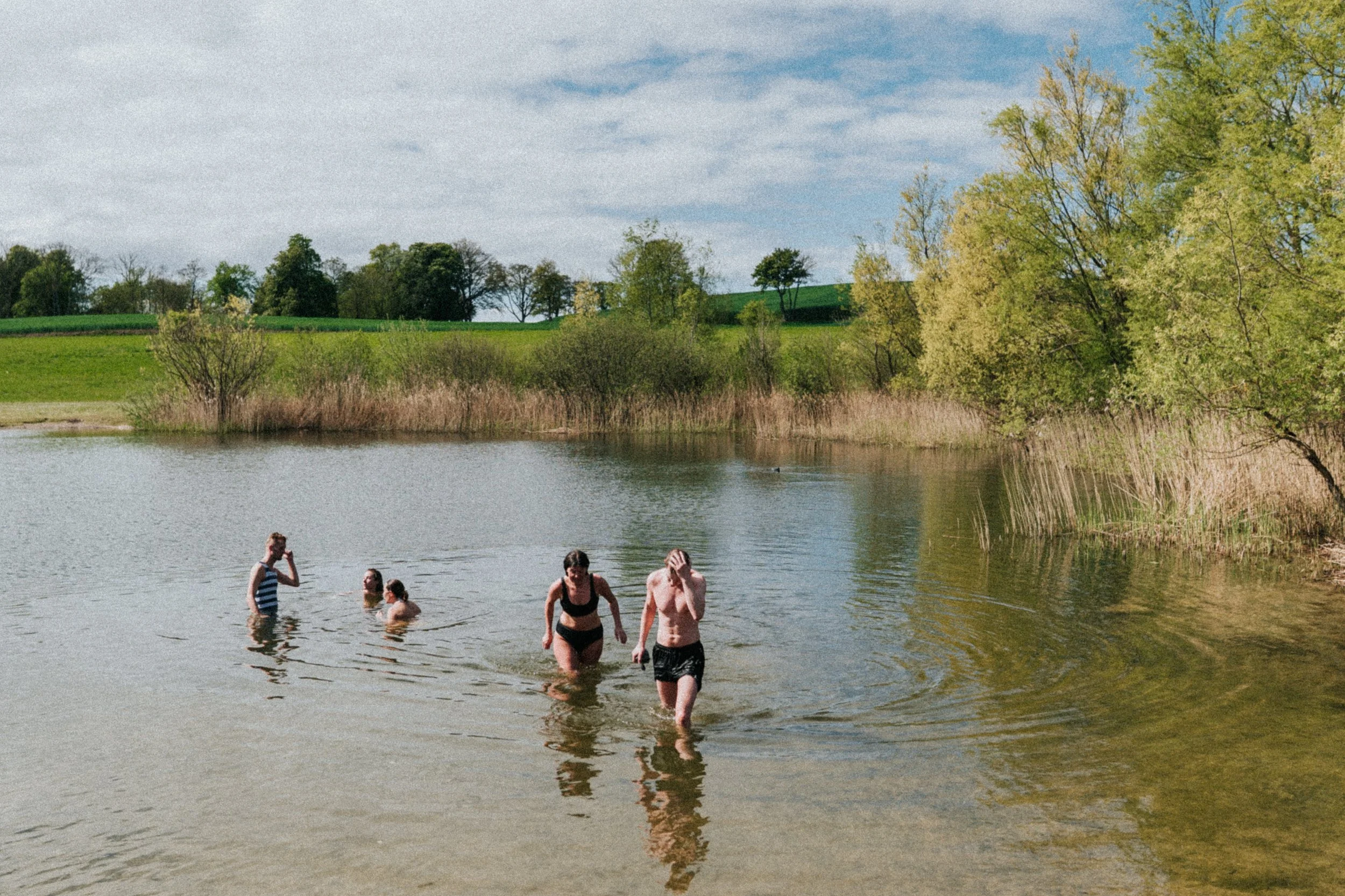 Fyr personer som badar i en sjö med gröna träd och brunt gräs vid stranden under en molnig himmel.