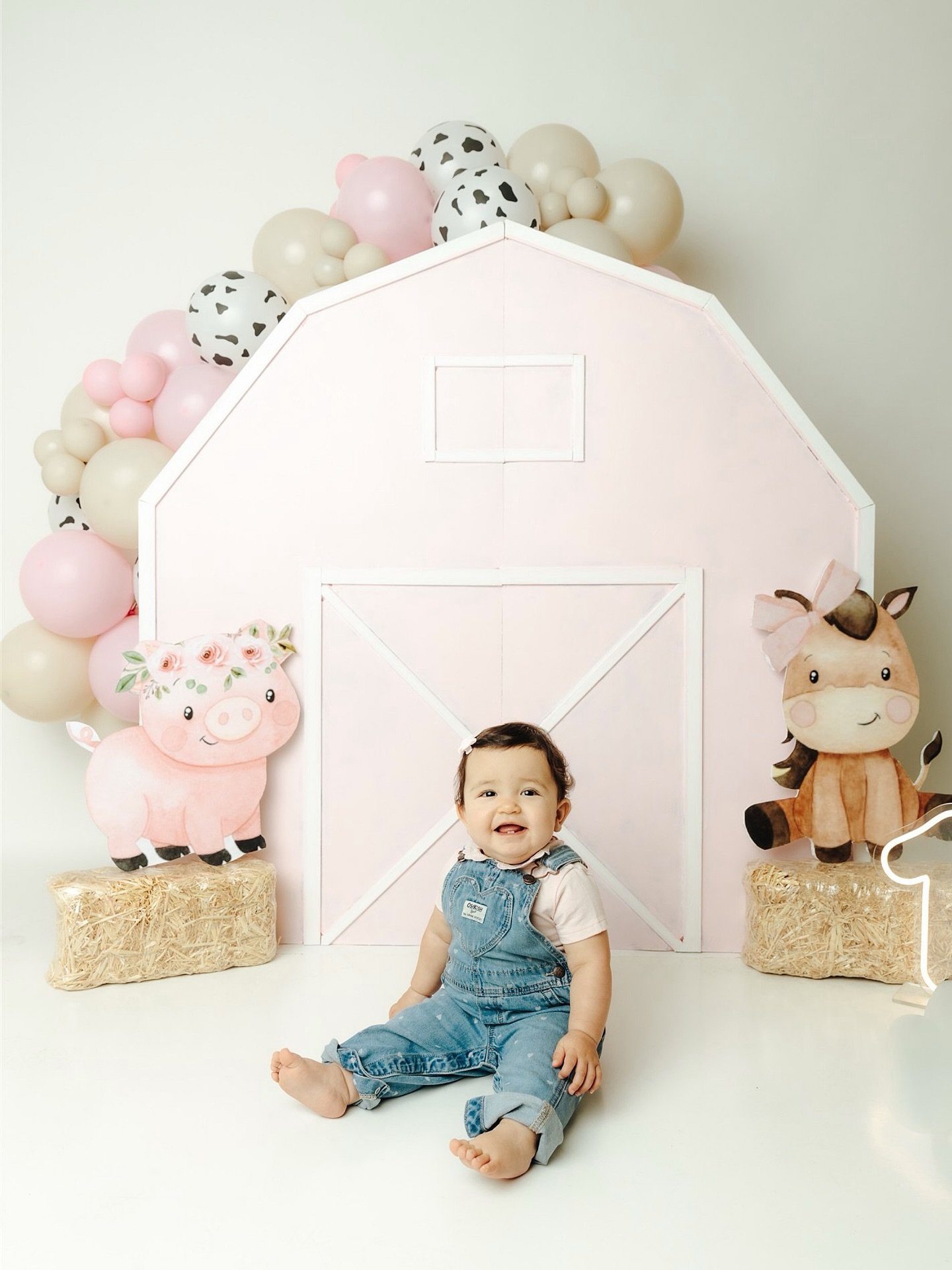 🩷✨🐷

#socalphotographer#socalnewbornphotographer #venturacountyphotographer #socalfamilyphotographer #milestonephotographer