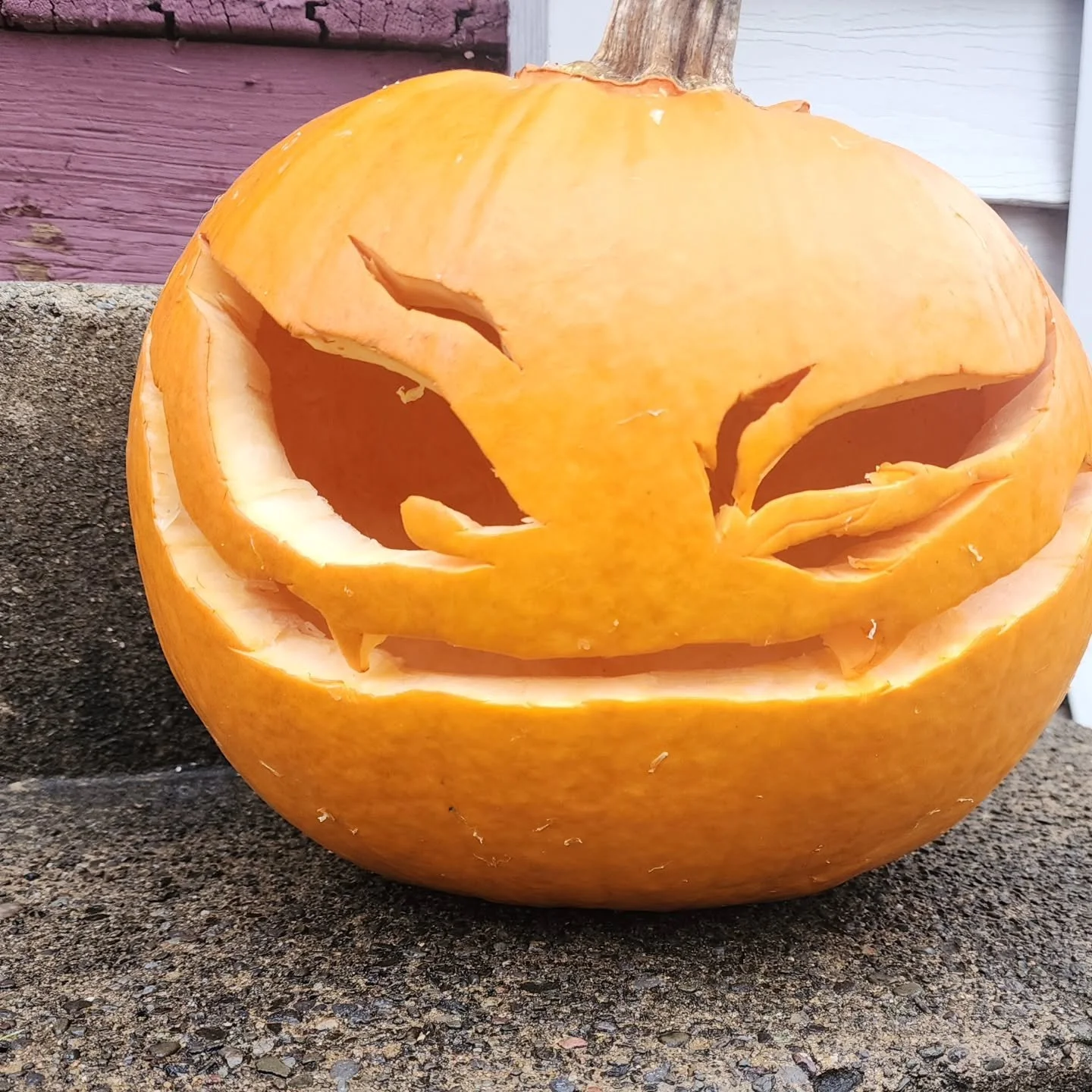 Carved some pumpkins, and i did carve the cursed mark from d.grayman because i am rewatching it. #halloween #pumpkins #jackolatern #dgrayman #pumpkincarving