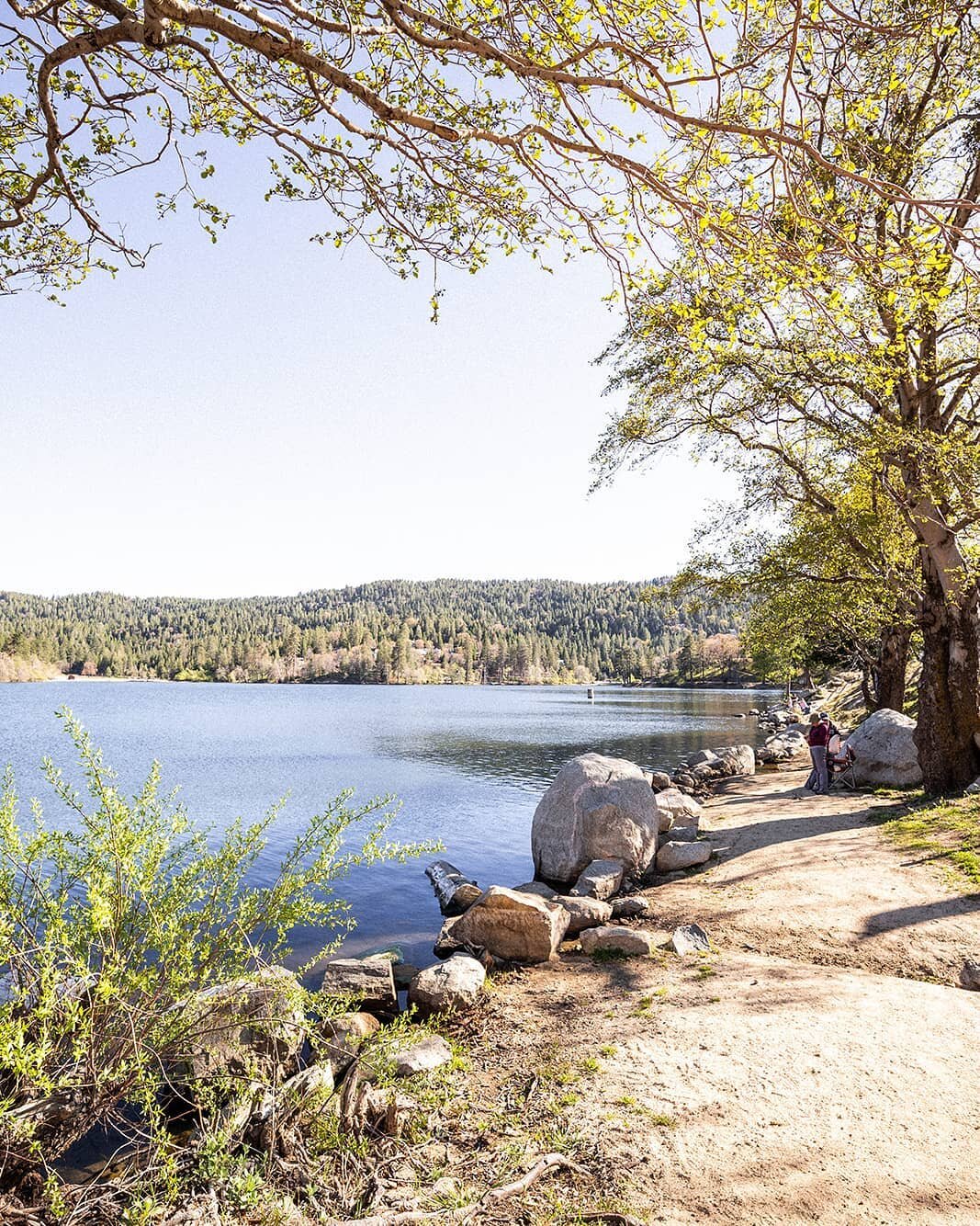 We're so excited to say that we are almost fully committed for July! Cannot wait to host all our July guests that will get to enjoy the great outdoors in Crestline and Lake Gregory.

It's going to be a memorable summer.

Photo by @stewartandconnie