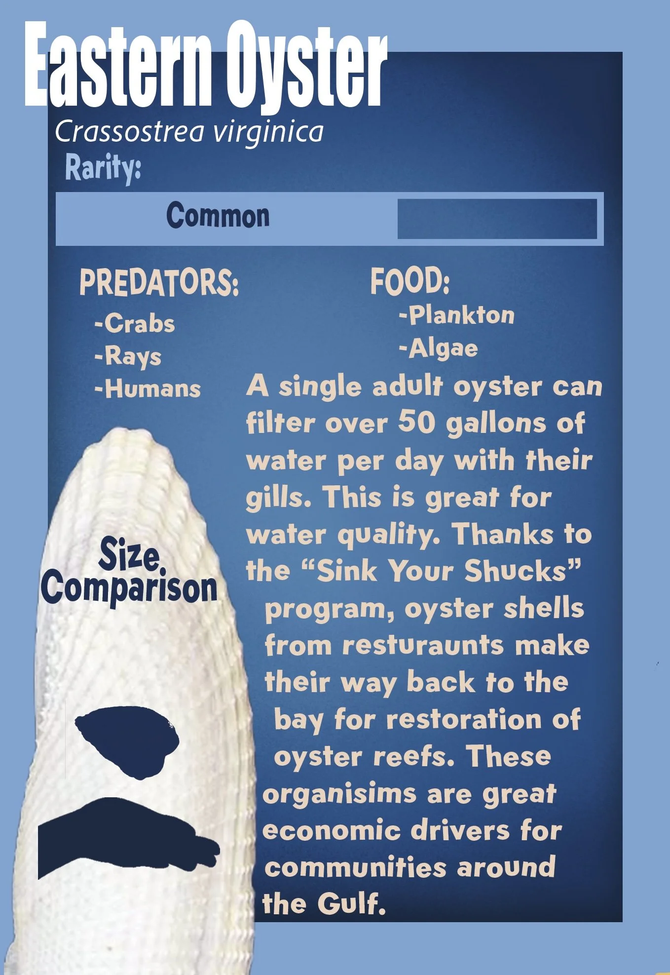 Oyster Final.jpg