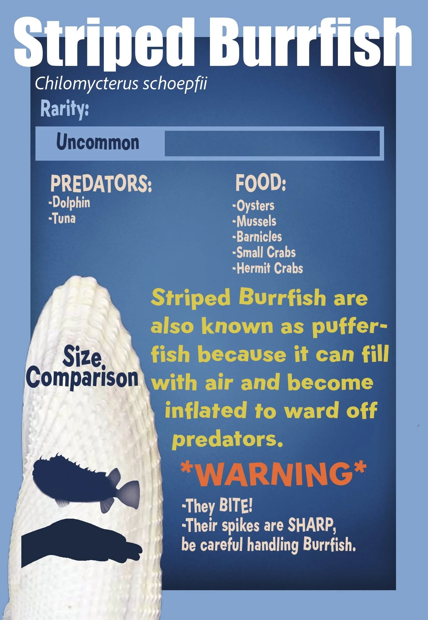 Striped Burrfish Final.jpg