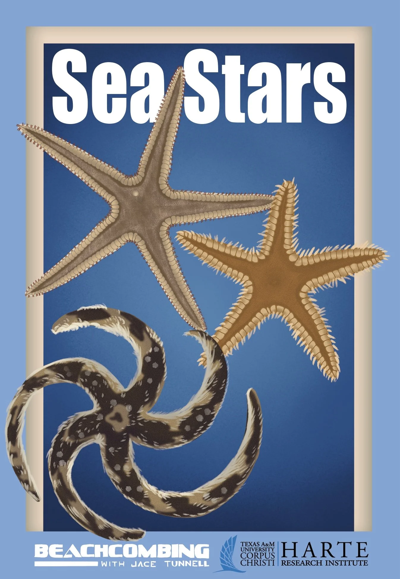 Sea Stars Final with Bleed (1).jpg