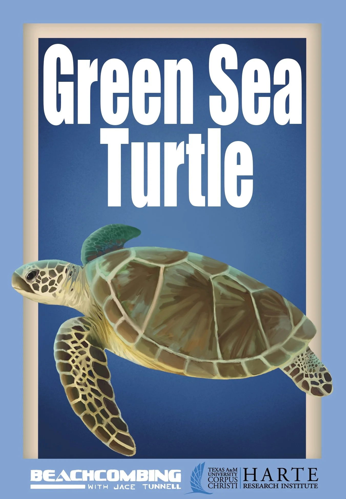 Green Seaturtle Final.jpg