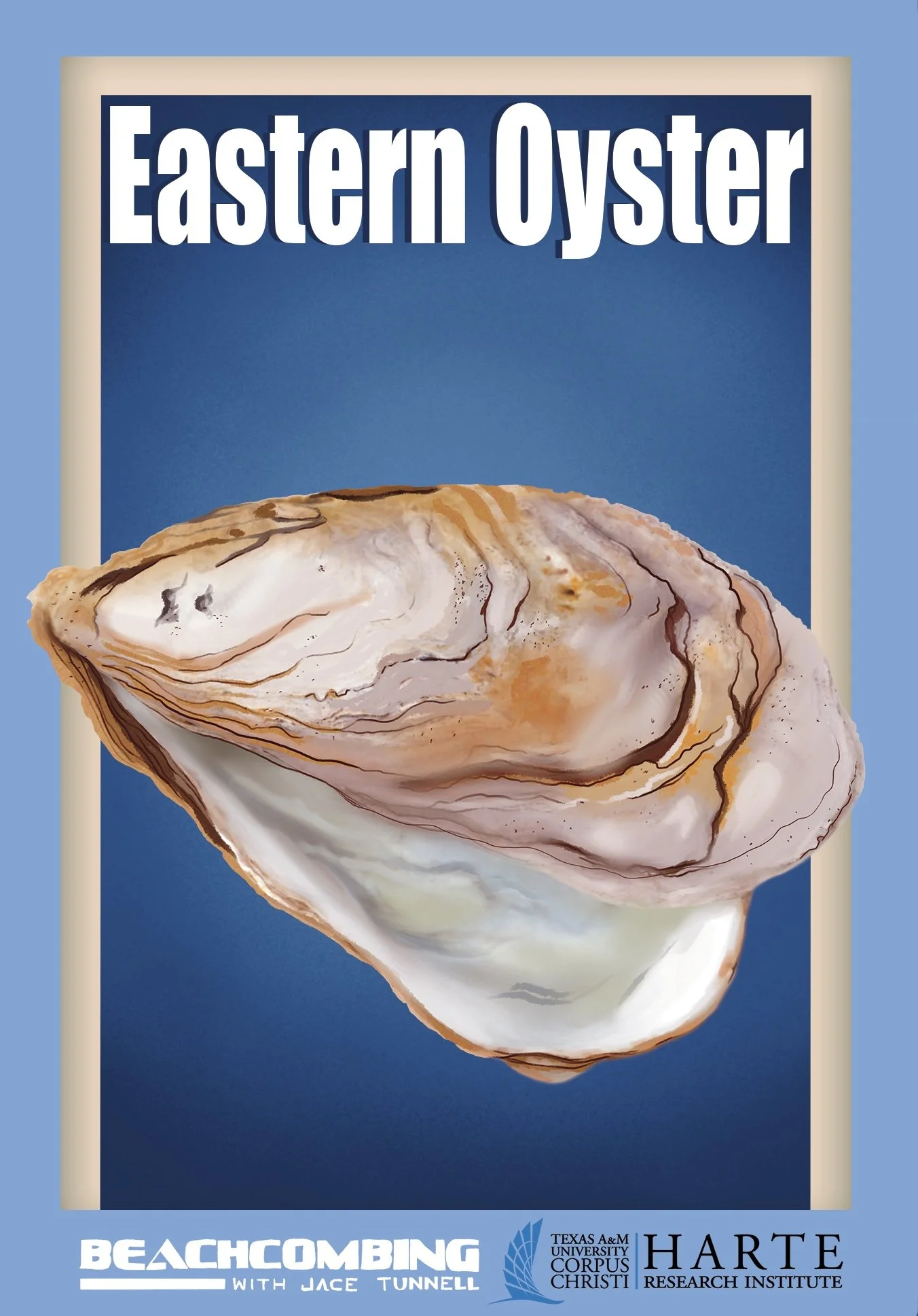 Eastern Oyster Final.jpg