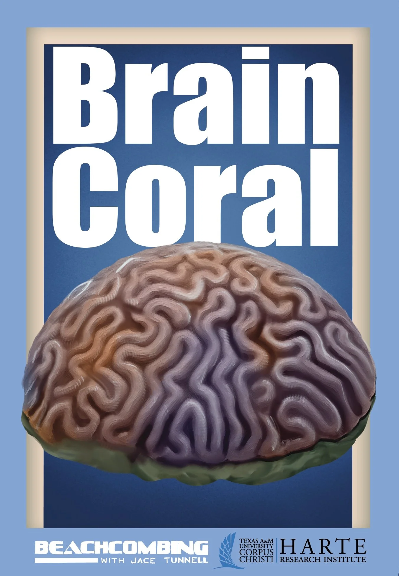 Brain Coral Final with Bleed (1).jpg