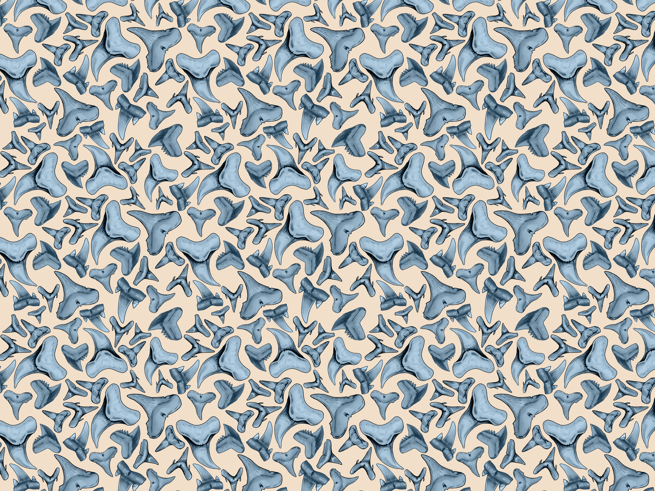 Untitled-2.png