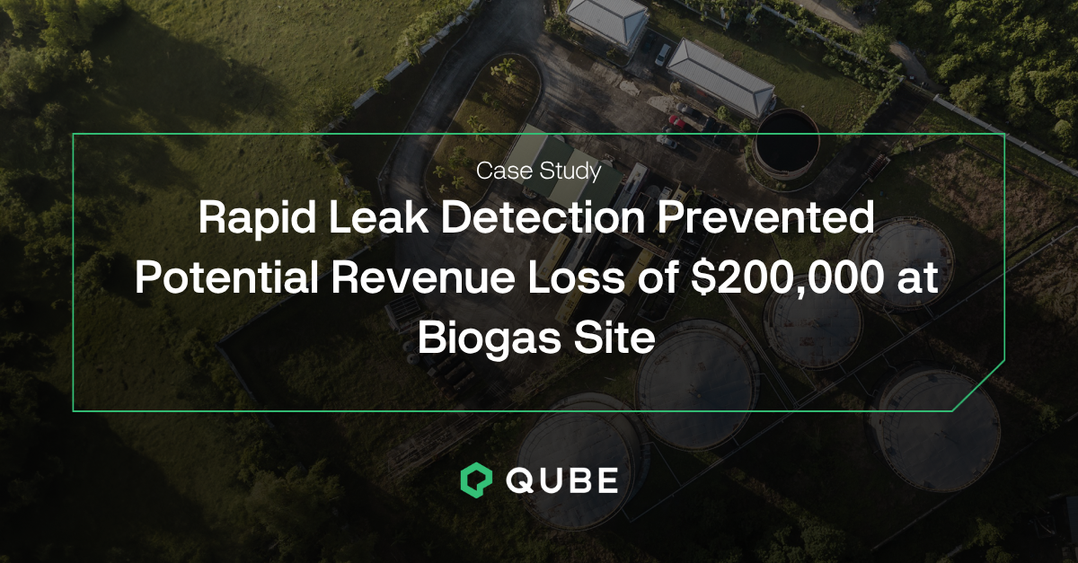 Rapid Leak Detection Prevented Potential Revenue Loss of $200,000 at Biogas Site