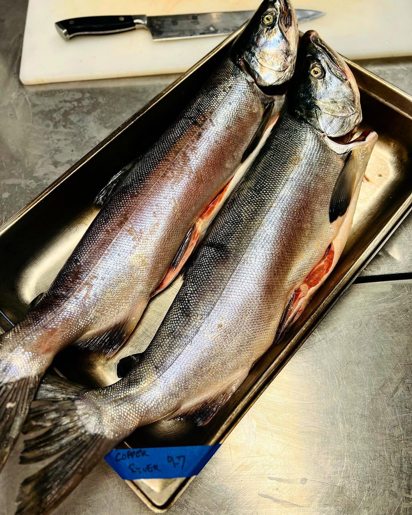 Copper River Coho Salmon and in house Cured Salmon Roe&hellip; stay tuned!