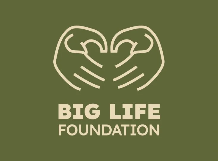 JoSkillman_Logos_BigLife_4.jpg