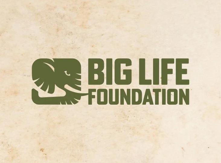 JoSkillman_Logos_BigLife_1.jpg
