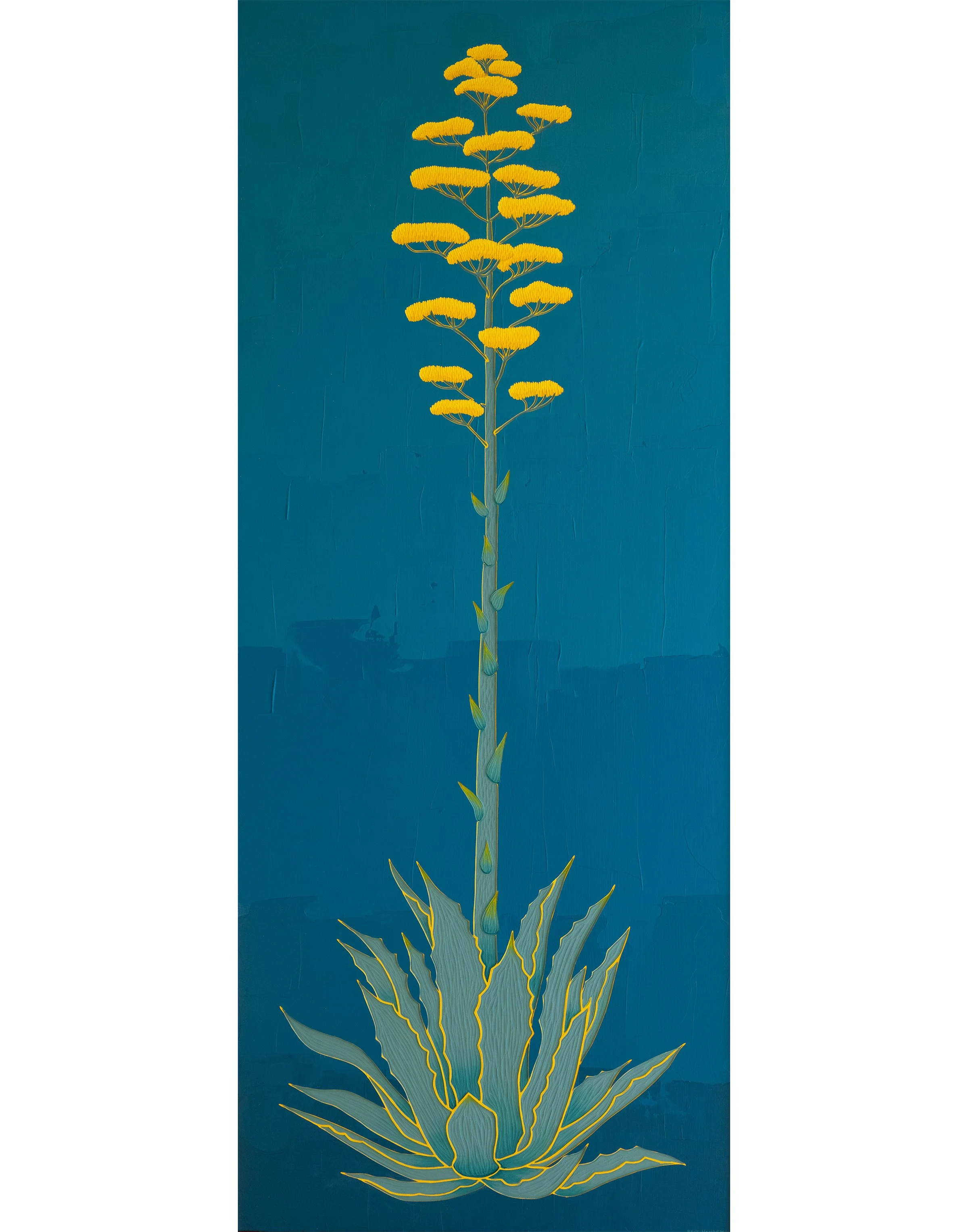 Yellow Agave