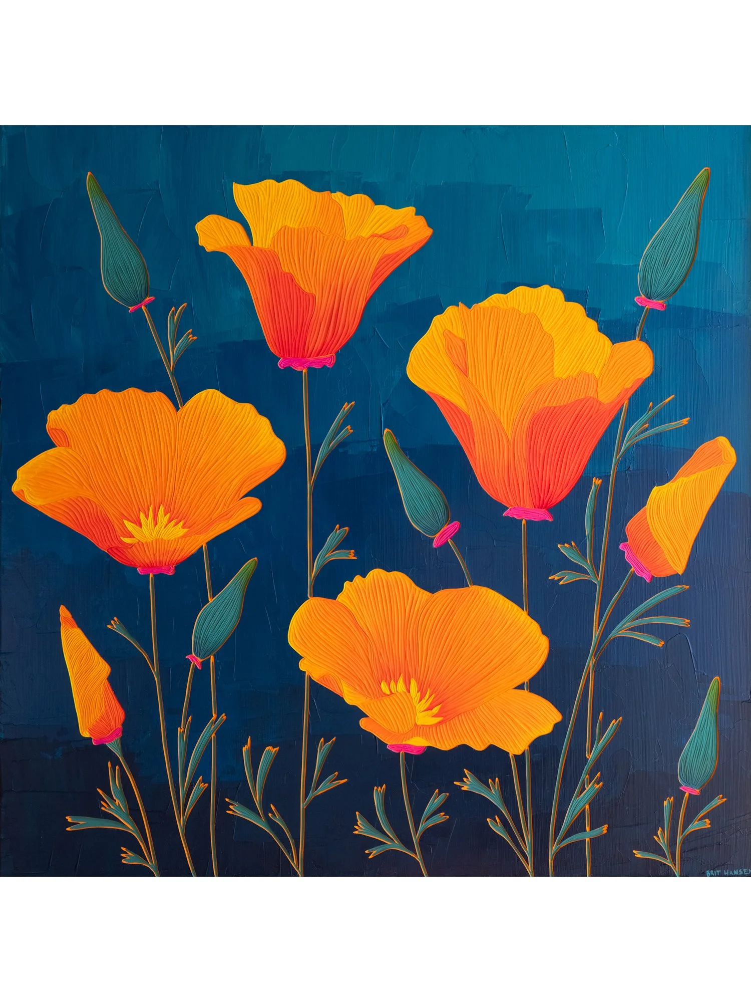 California Poppies