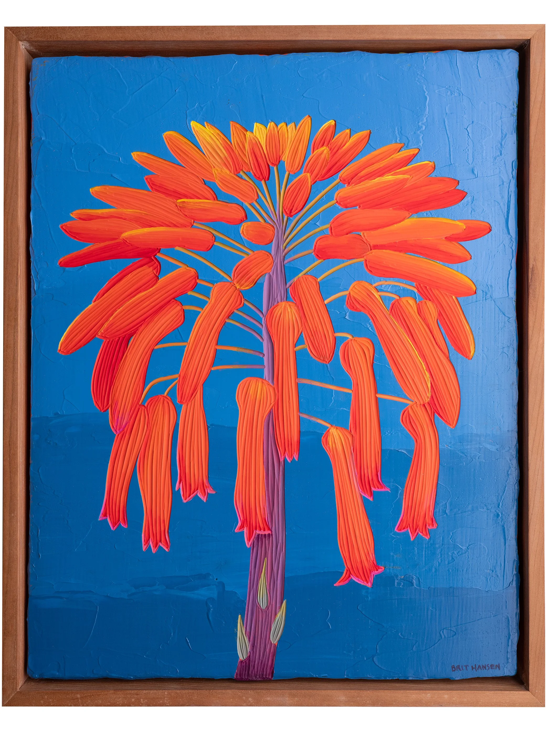 Aloe by the water 11x14 web.jpg