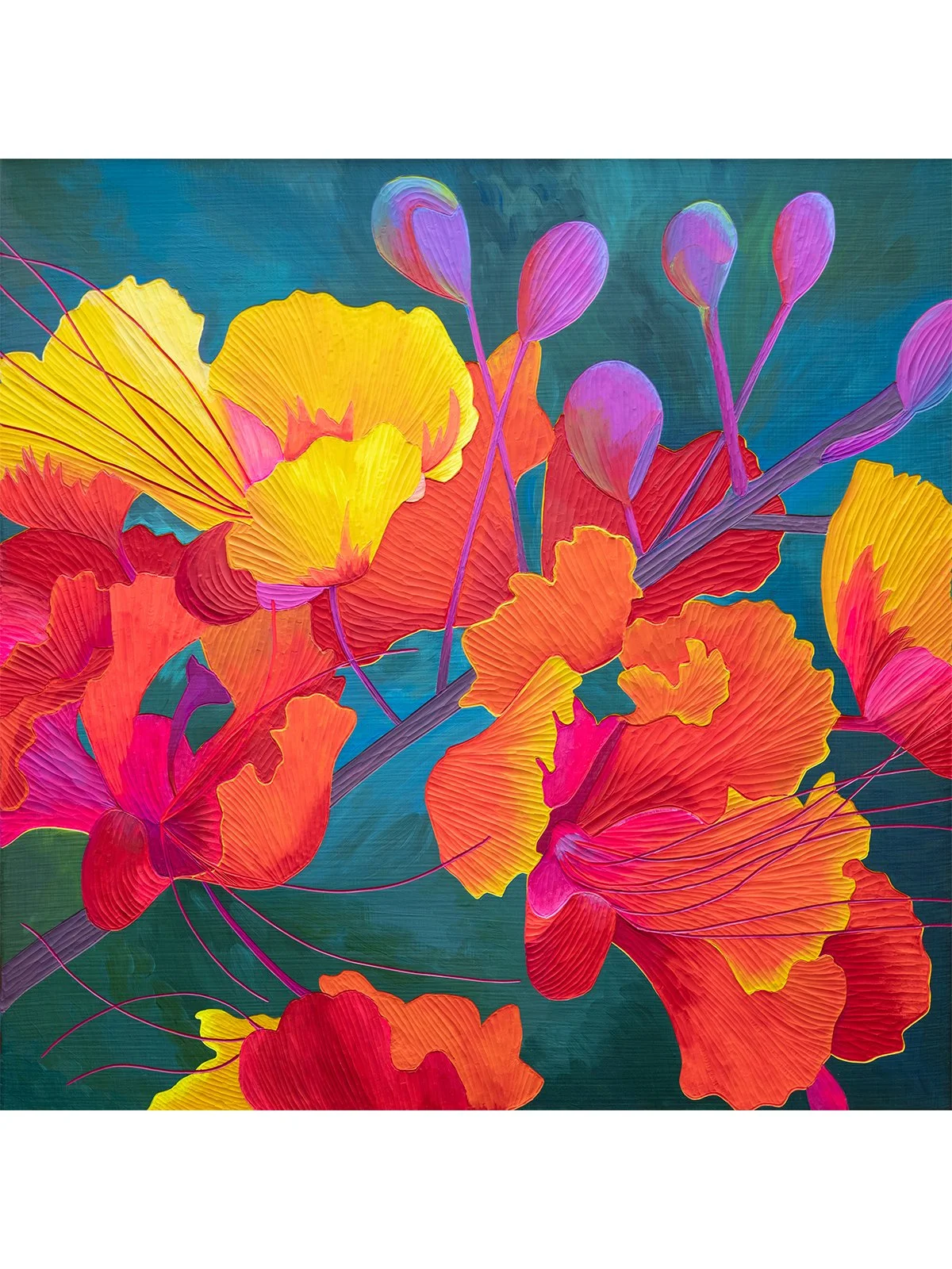 Brit Hansen  Mexican Bird of Paradise.jpg