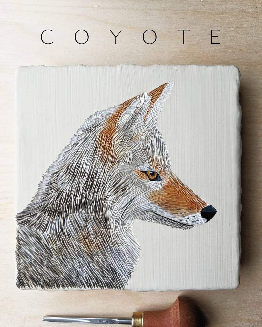 I am really proud of this artwork and relieved that I love this coyote as much as I do.

It was one of those projects that I felt was ugly until it came together at the end. 

I love this coyote and so far it's been the most difficult and rewarding c