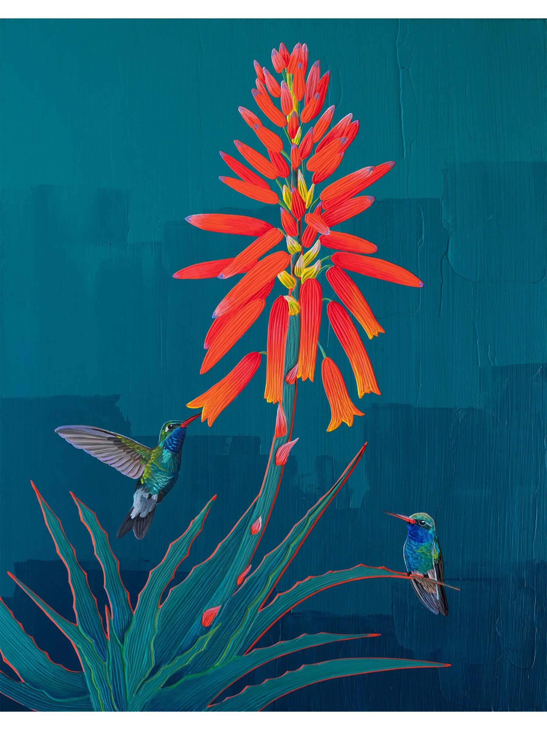 two hummingbirds with aloe flower by brit hansen print.jpg