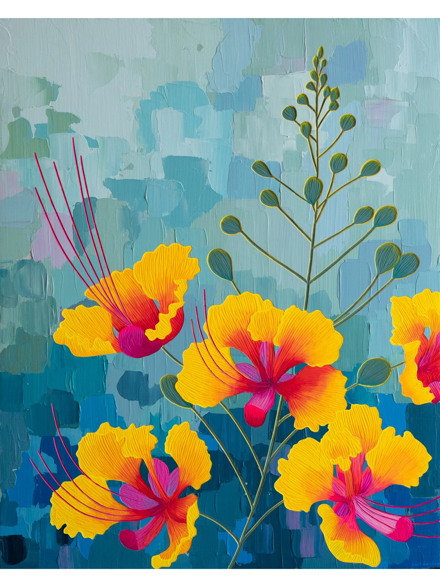 Mexican Bird Of Paradise