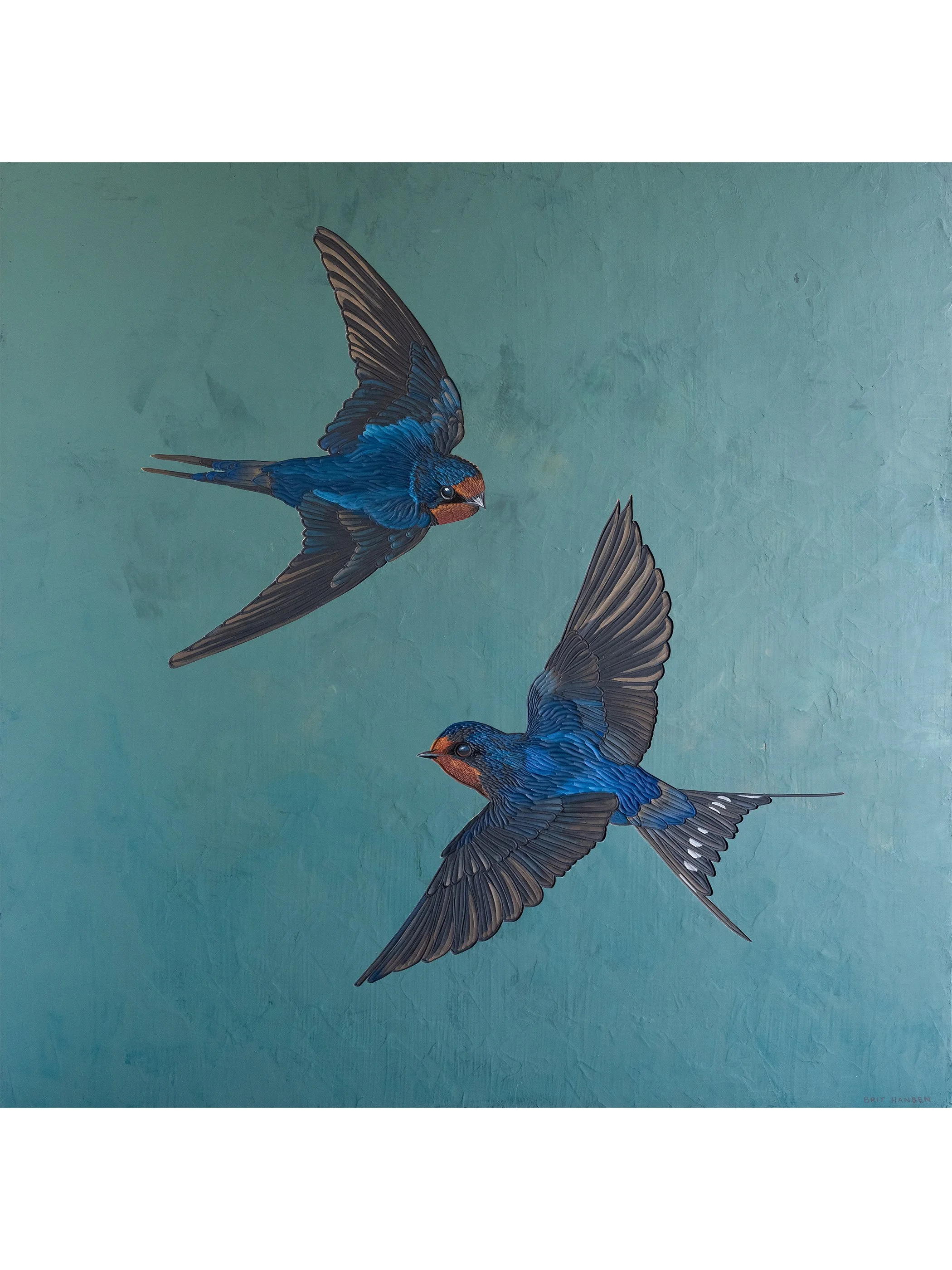 two barn swallows flying artwork by brit hansen.jpg