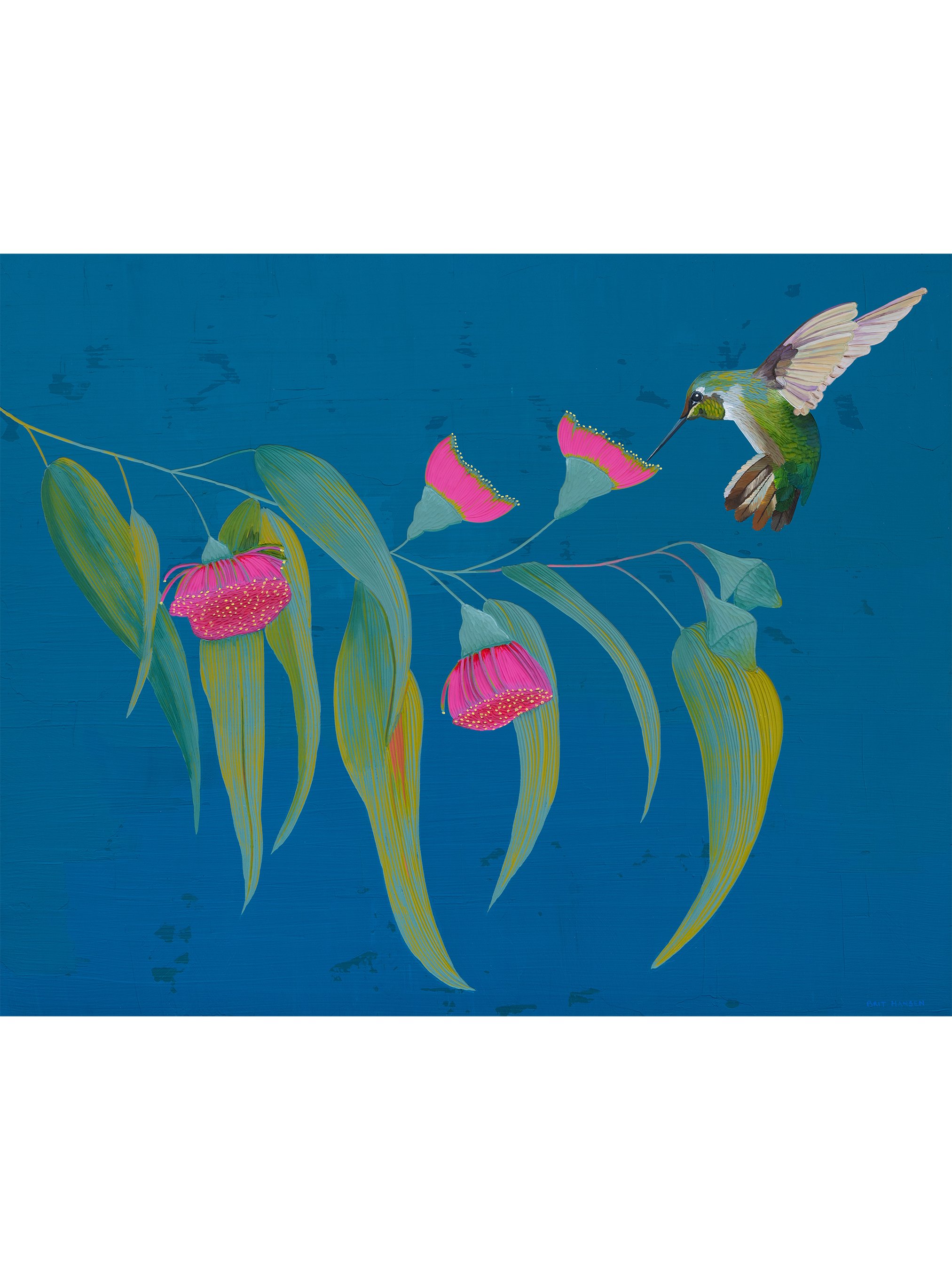 brit hansen hummingbird print.jpg
