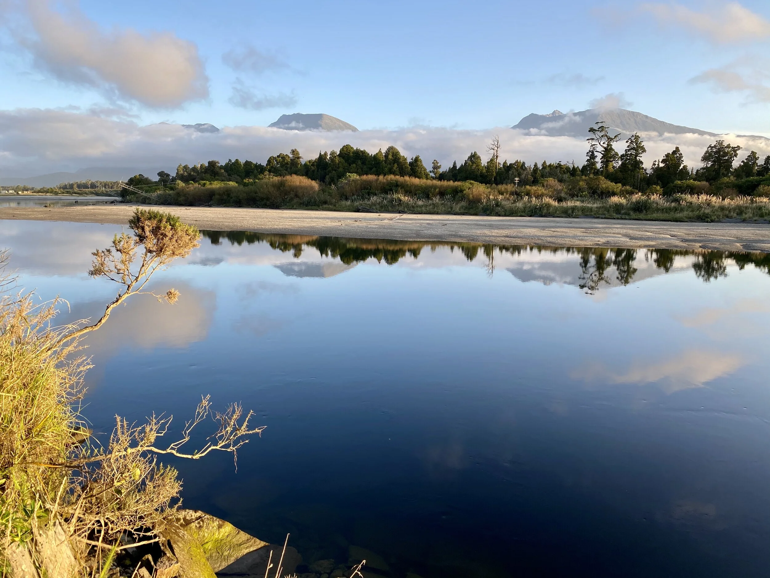 New Zealand sandflies are an itchy initiation