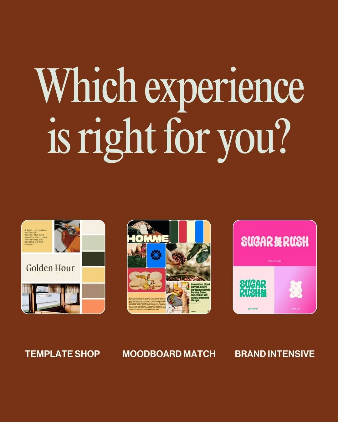 Here&rsquo;s the clear breakdown of our three offerings,  who they&rsquo;re for, what you get, and how to know which is right for you.

Template Shop is for the DIY-er who knows their way around design tools and wants a professional starting point wi