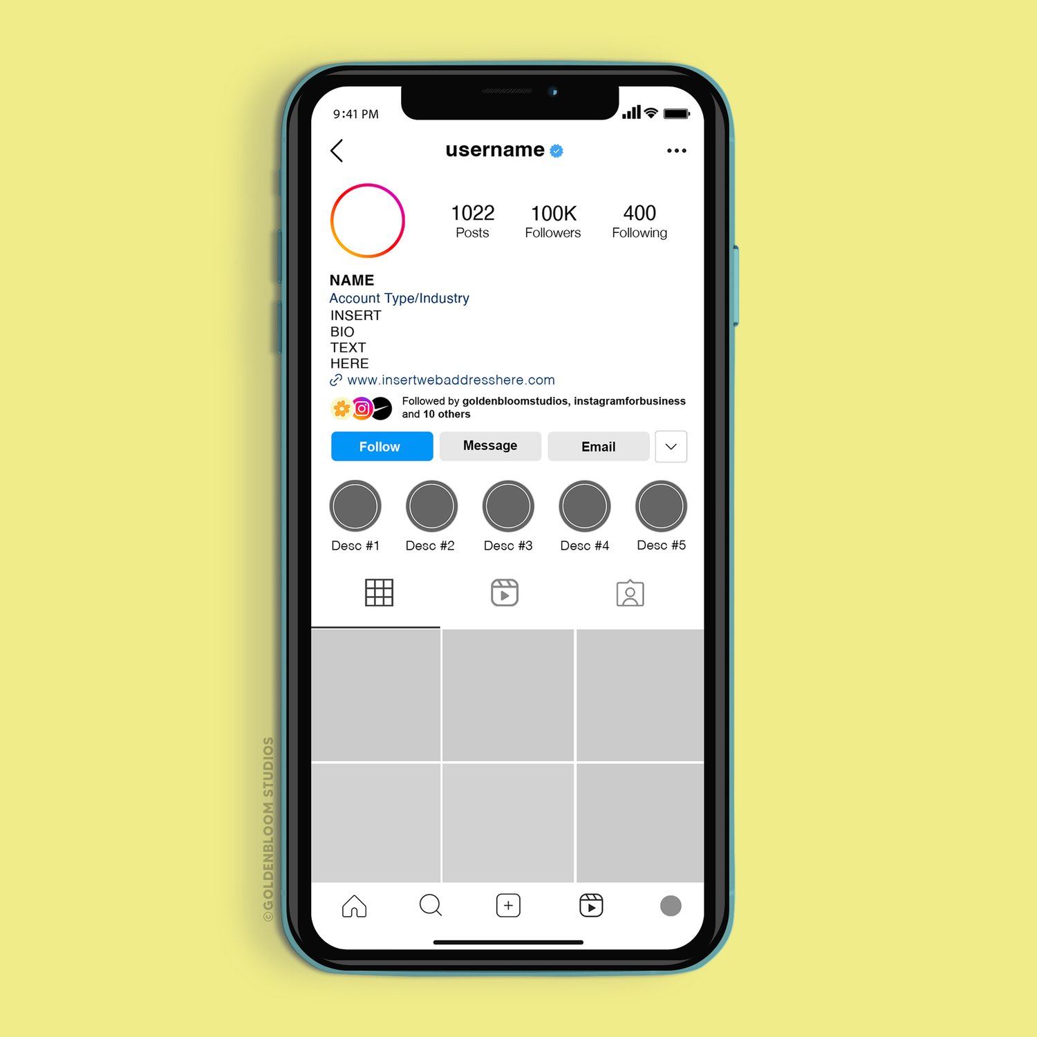 Instagram Bio Template Instagram Profile Page Mockup (PSD)