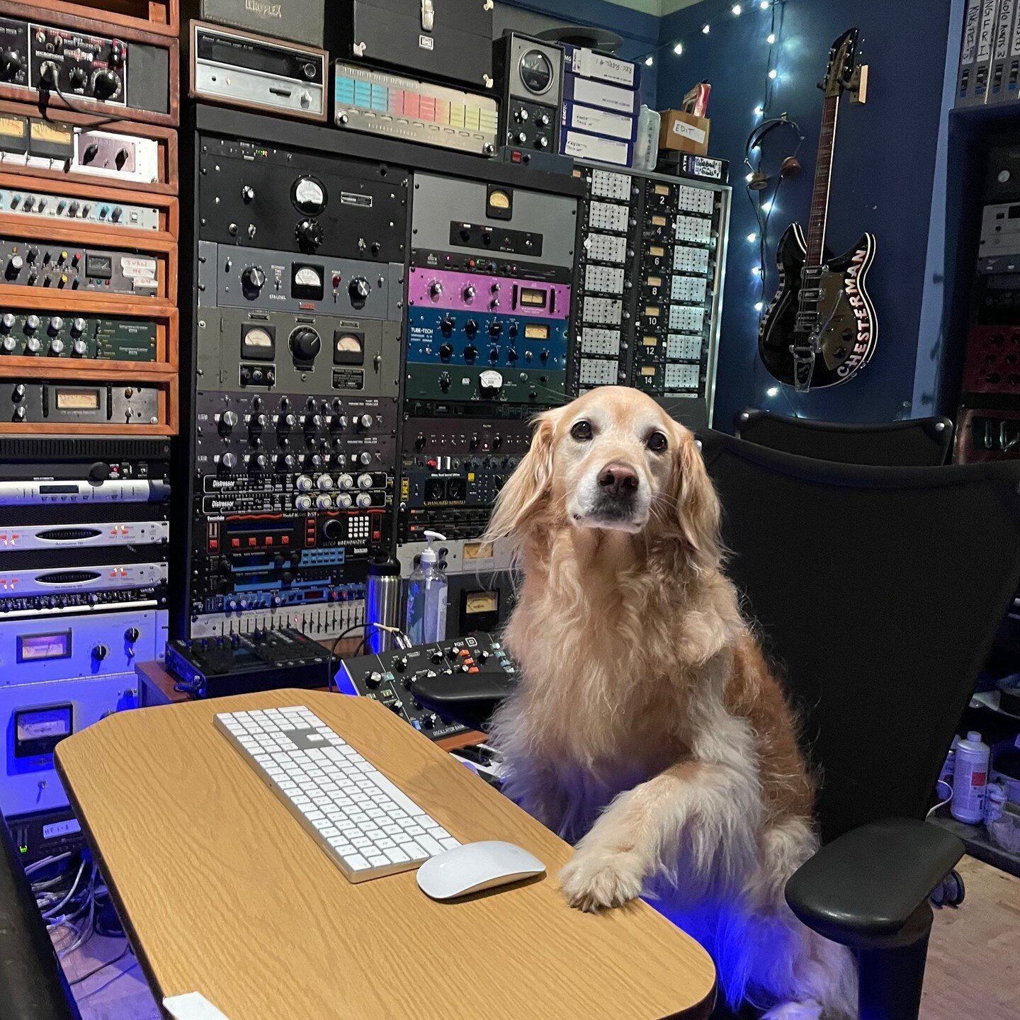 Producer Jenny has taken over the Major Spark recording session today. 
Paws-itively the best mixes ever 🐾🐾