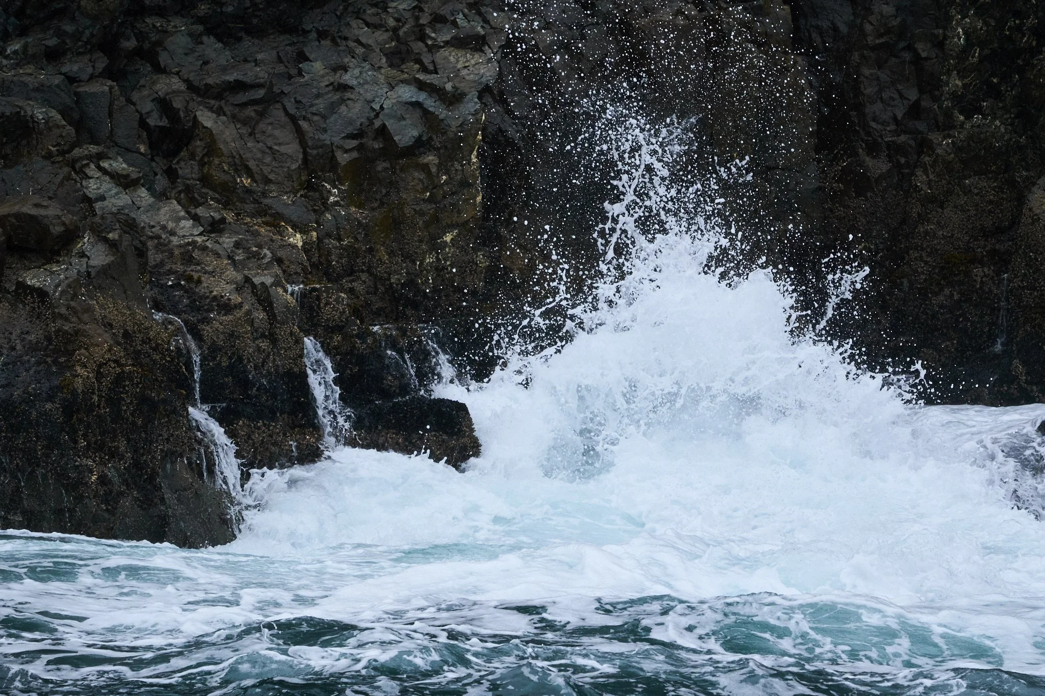 Alaska_Katmai_KodiakIsland_DSC0506.jpg