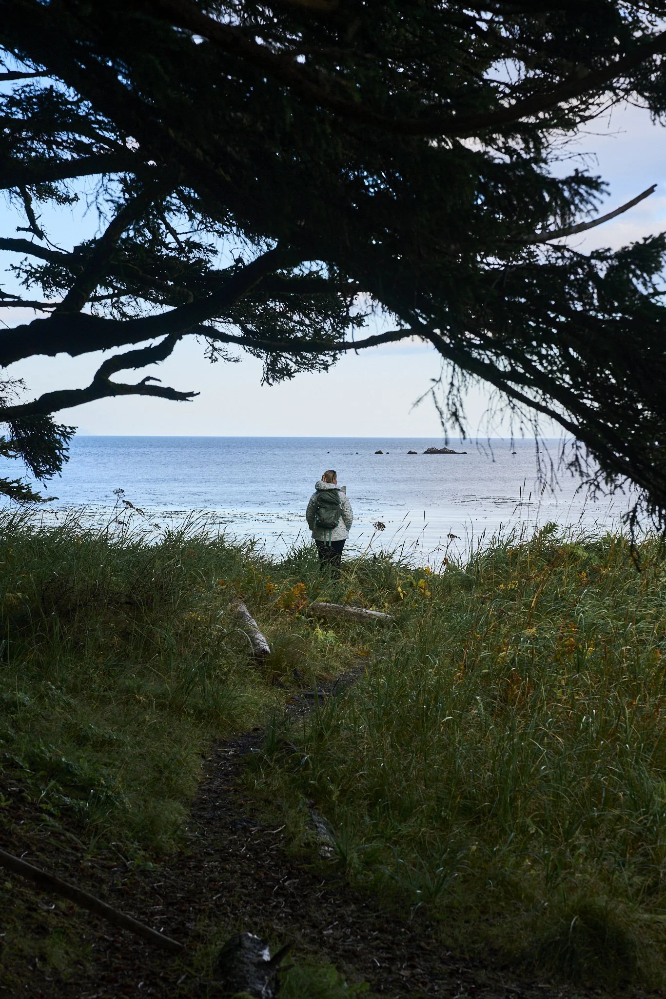 Alaska_KodiakIsland_2AM5173.jpg