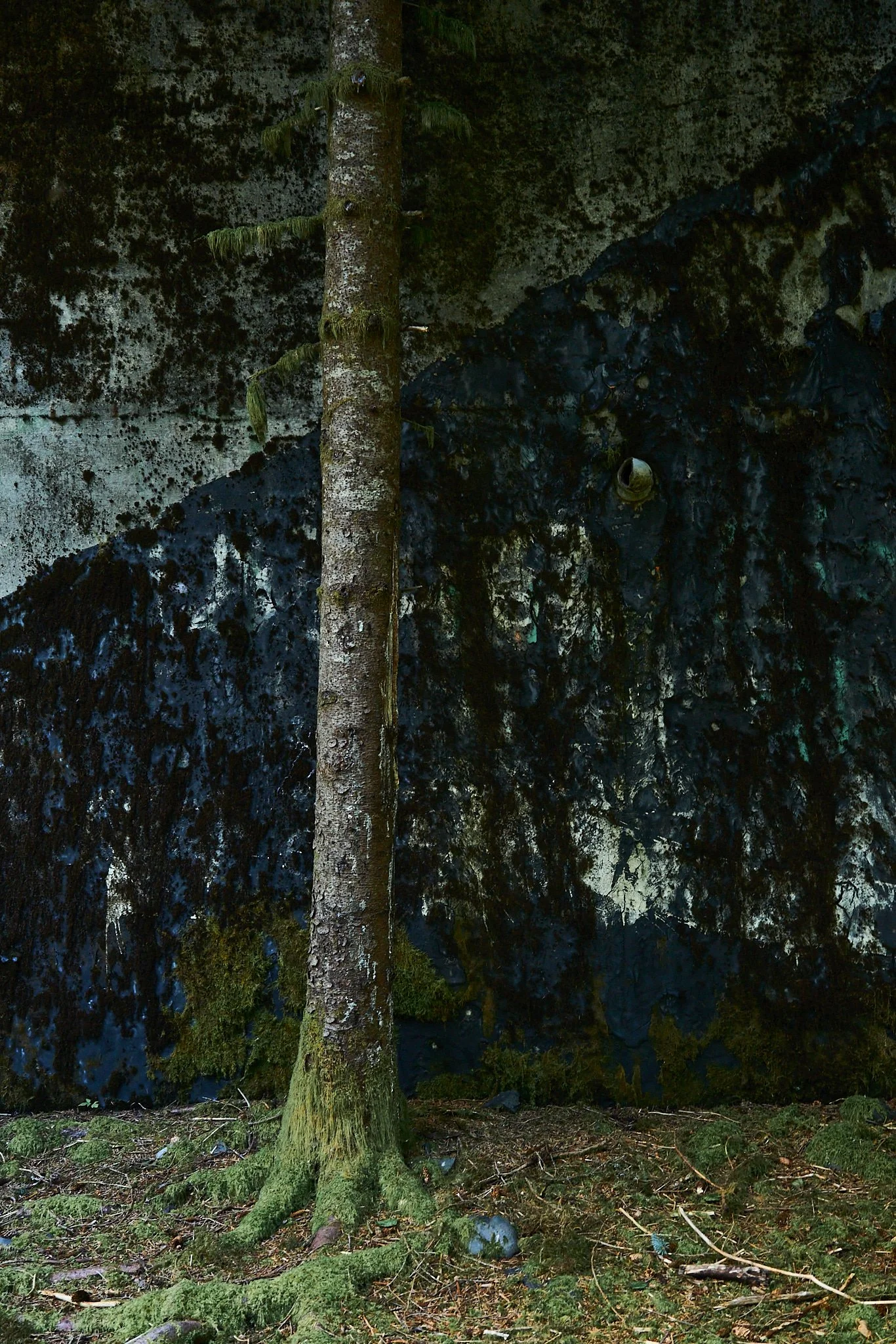 Alaska_KodiakIsland_2AM5226.jpg