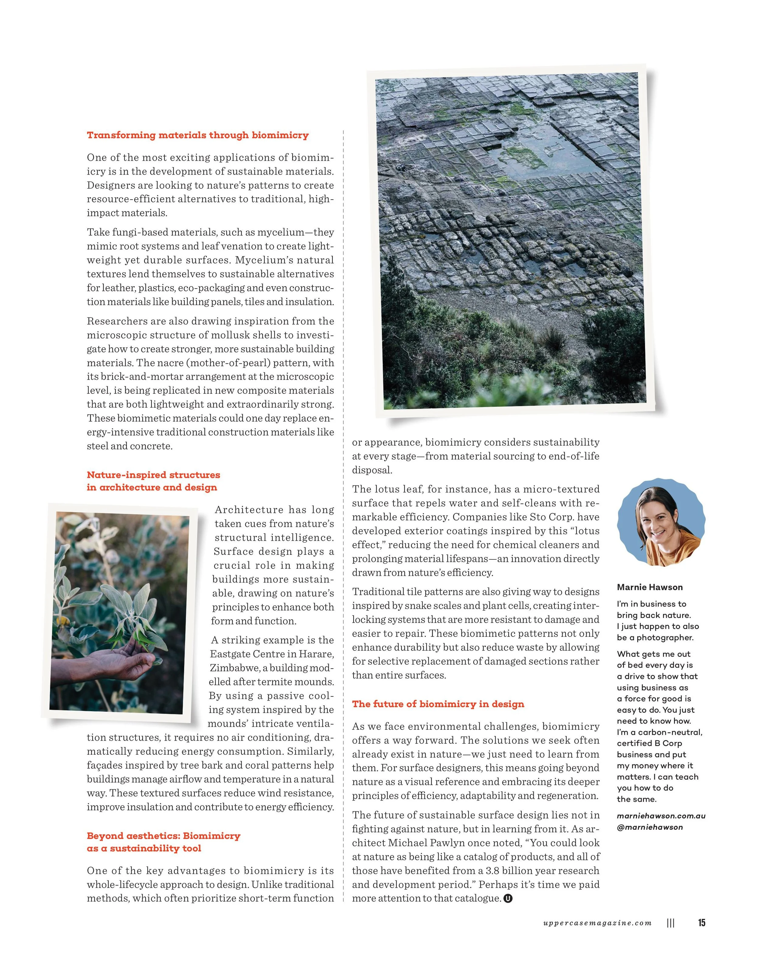 ECO 65-images-1.jpg