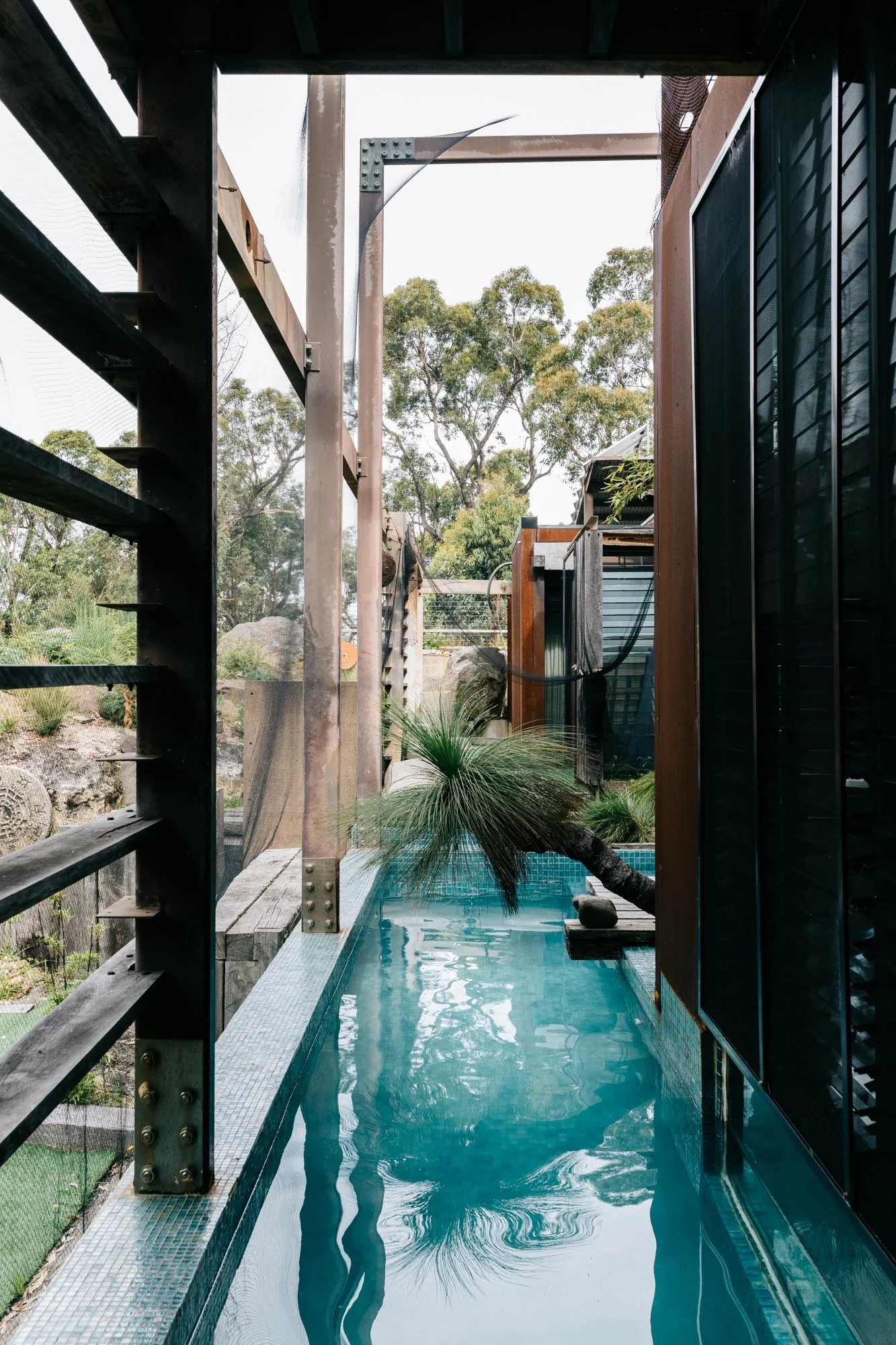 Lap pool alongside steel fireproof house