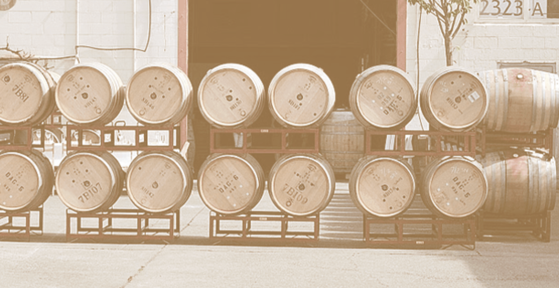 Unfiltered - A Celebration of Wine on the Edge