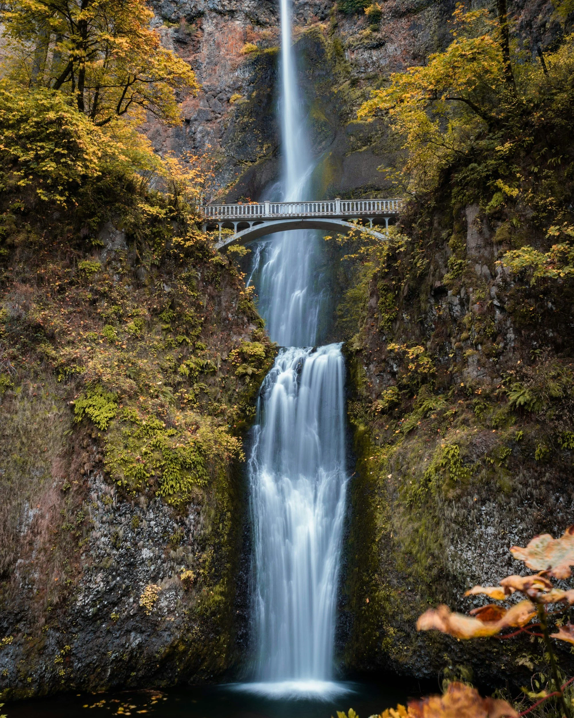 Oregon Waterfall cascading down a rocky cliff, with a bridge crossing the midsection, surrounded by autumn trees with yellow and green leaves.
