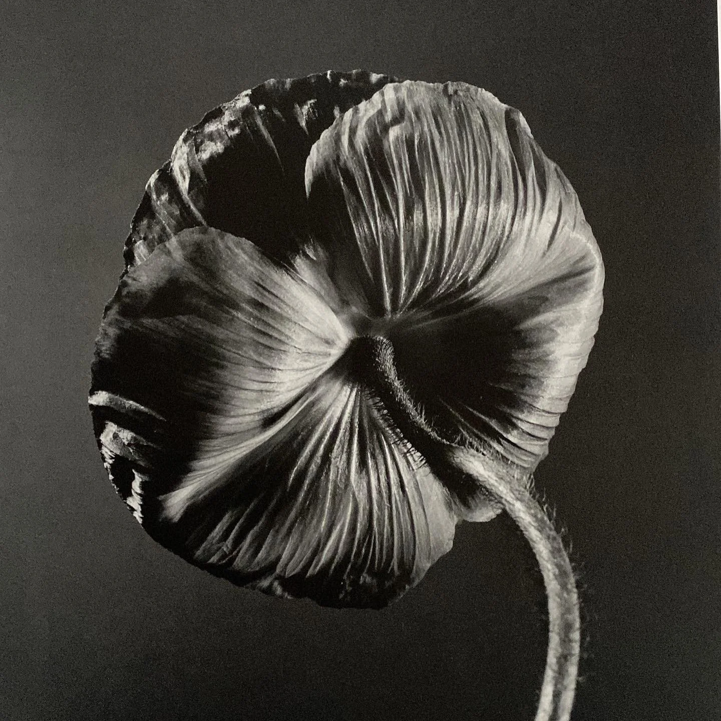 How Subliminal Audios Work