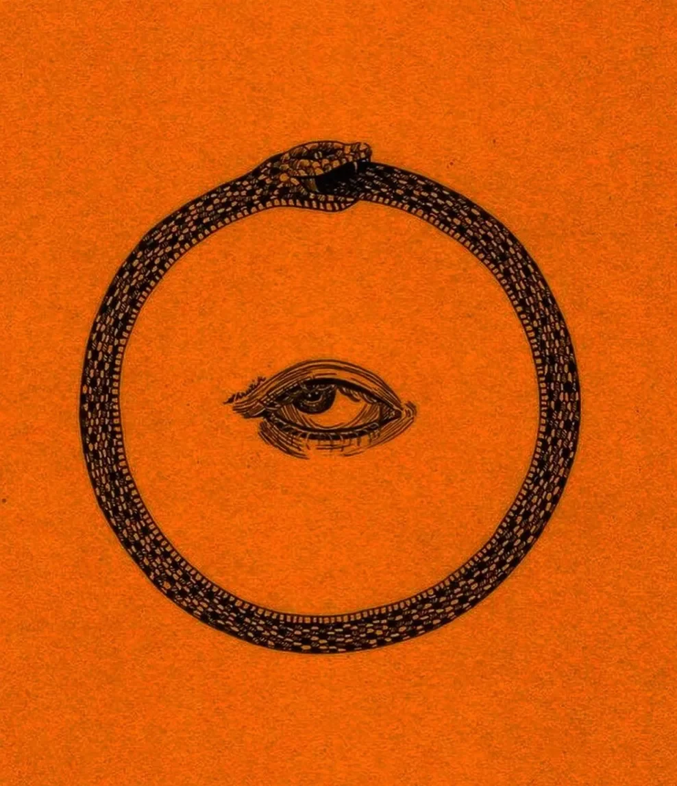 Eclipses as Ouroboric Fields