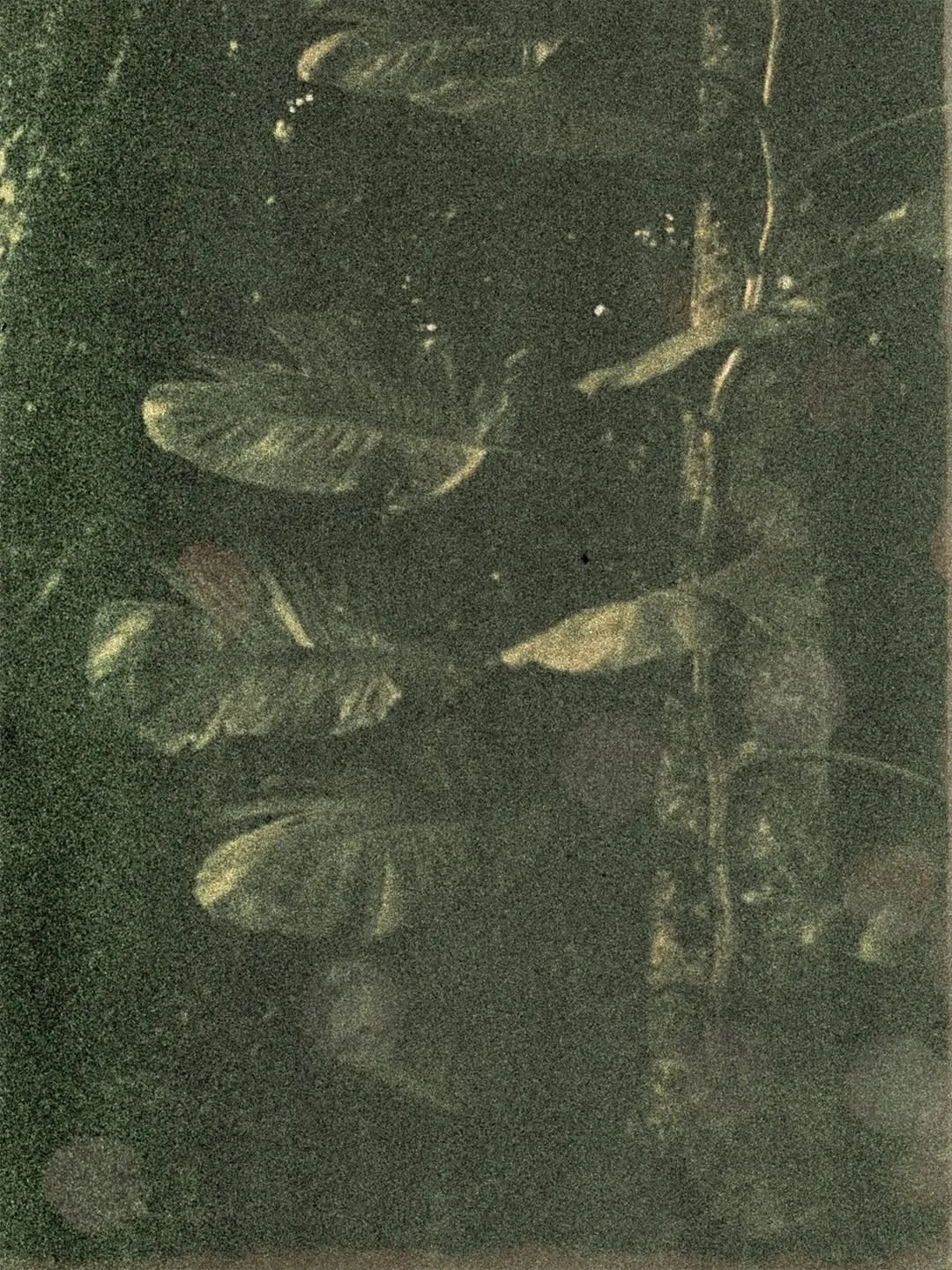 What is Mythopoetic Entrepreneurship?