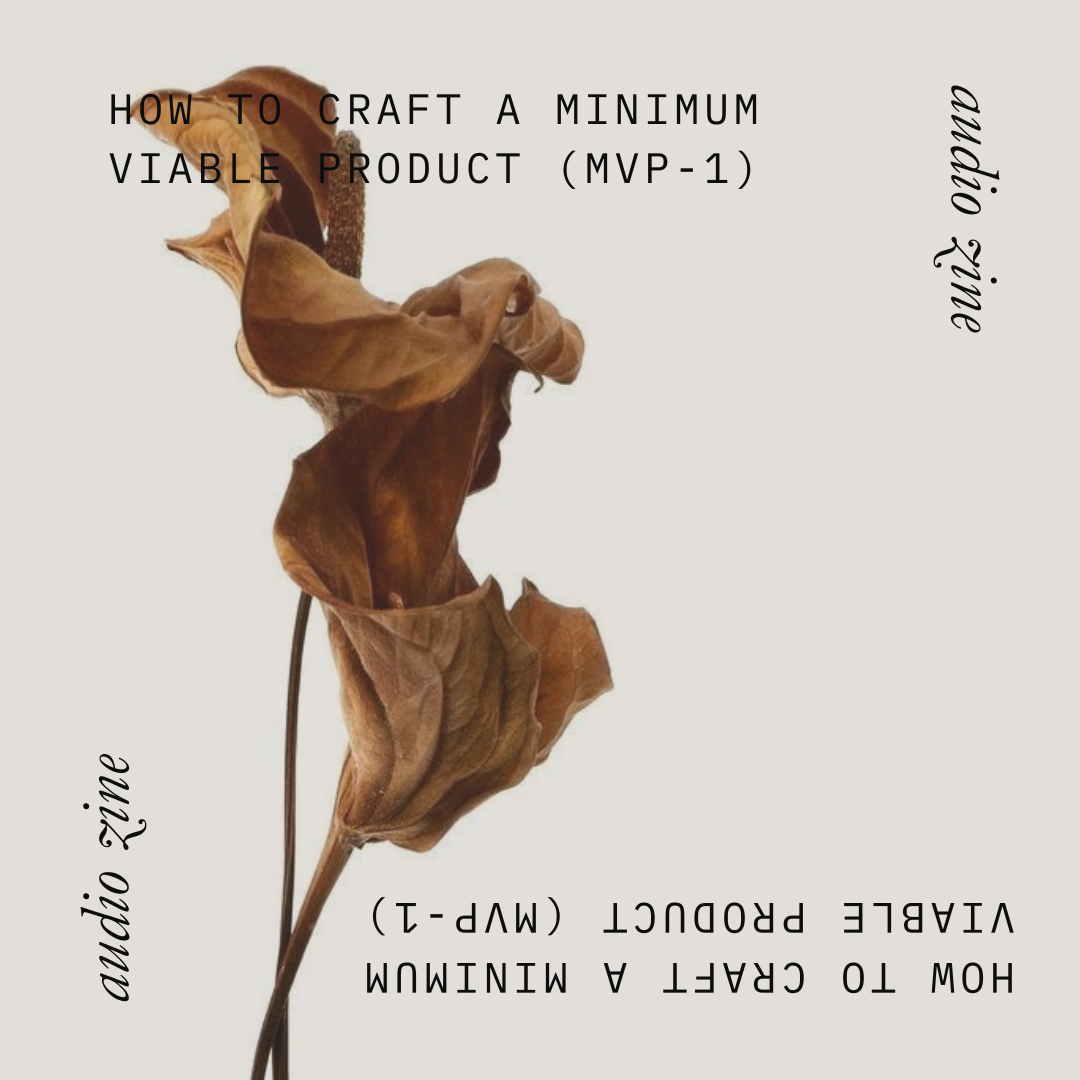 How to Craft a Minimum Viable Product (MVP-1)